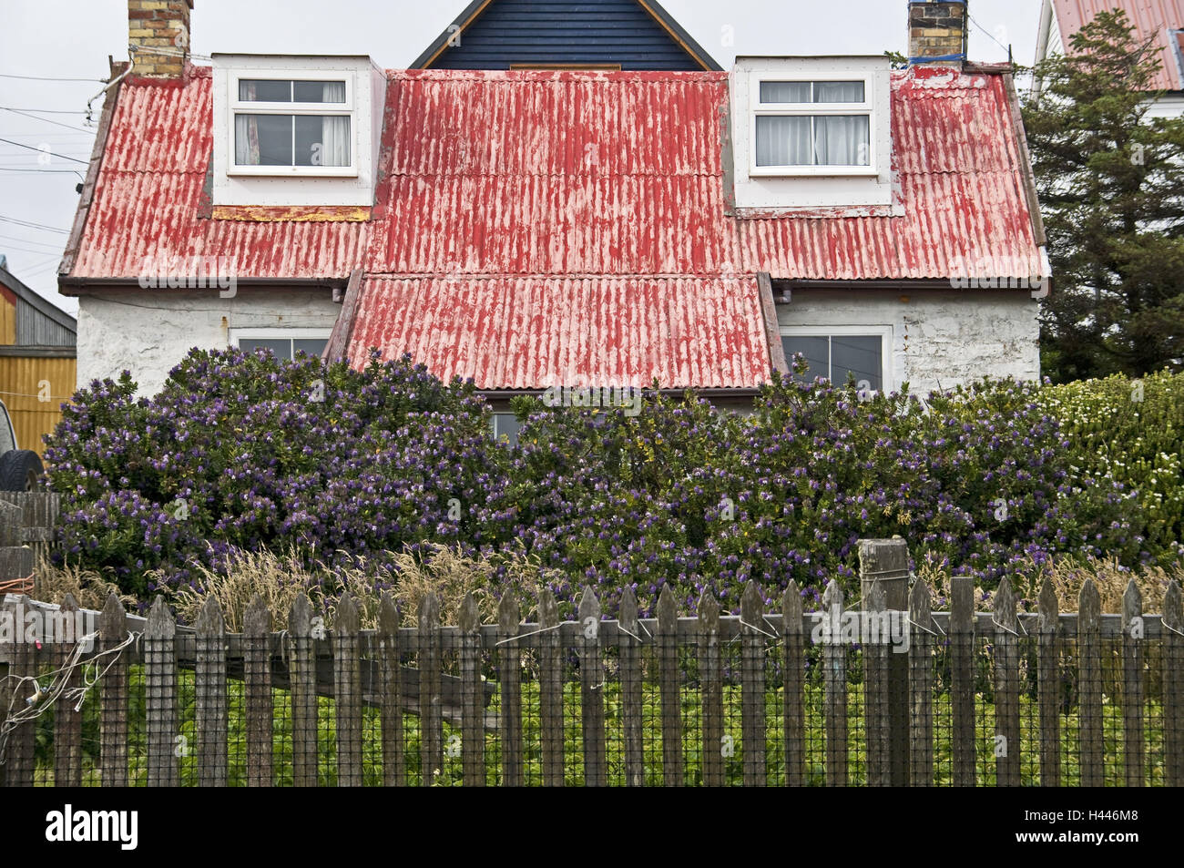 Great Britain, the Falkland Islands, port Stanley, house, roof Stock