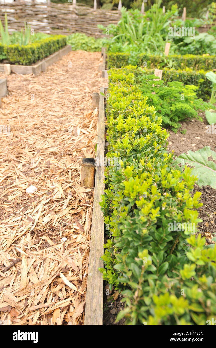 Garden, vegetable bed, path, bark mulch, box Stock Photo