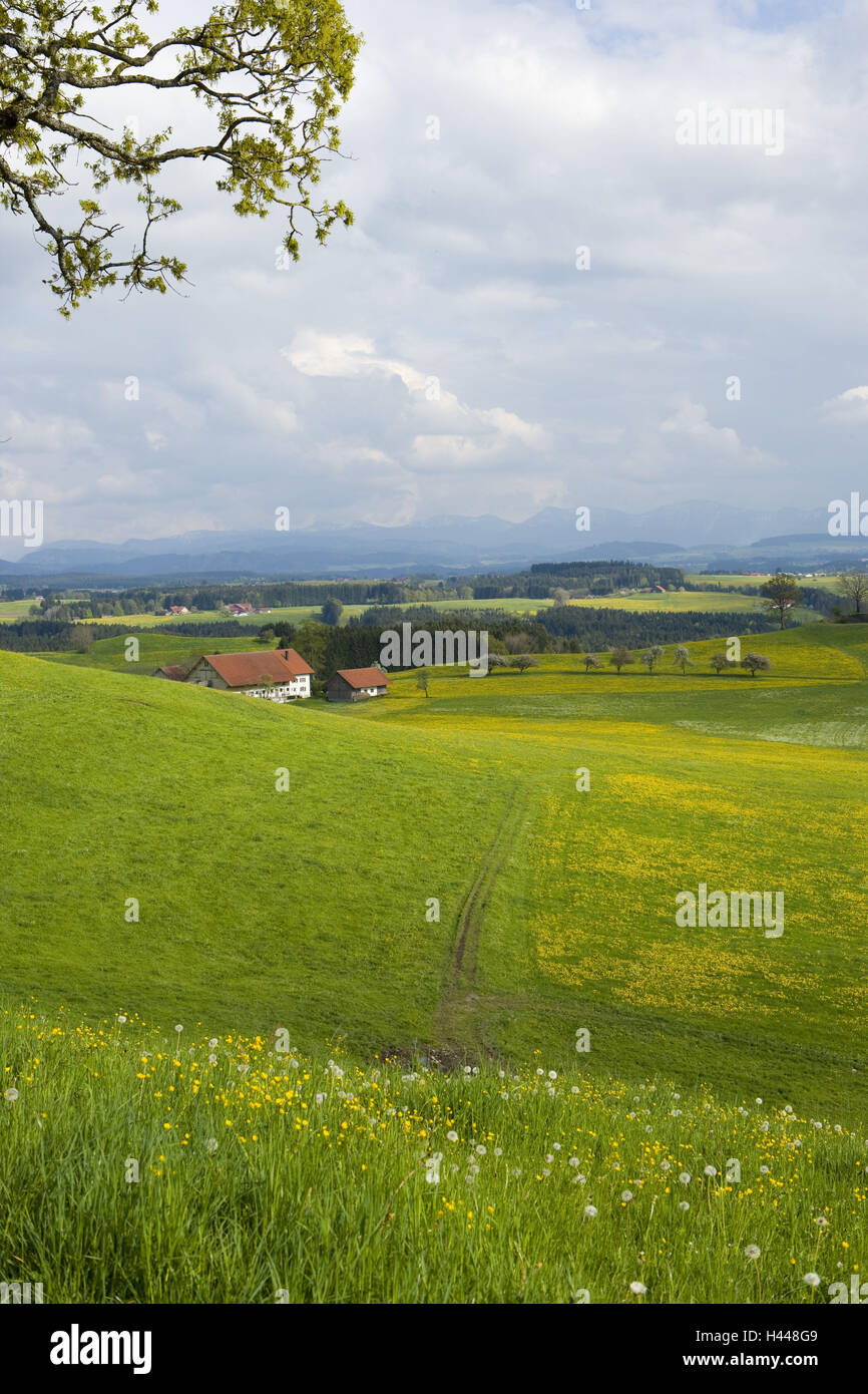 Württembergisches Allgäu, spring, hill scenery, Stock Photo