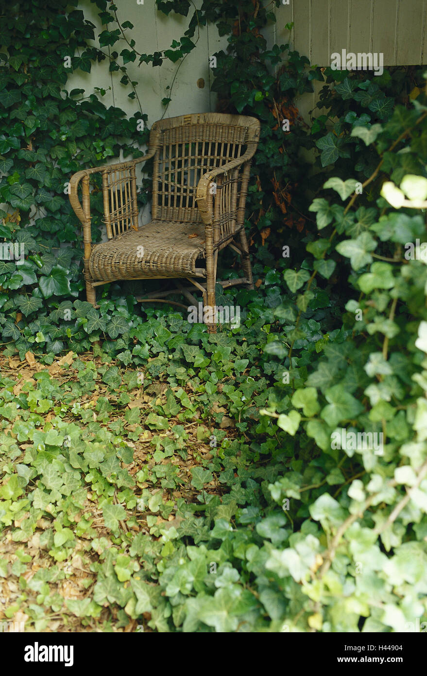 Garden, wicker chair, ivy, Outdoor furniture, arbour, corner, remotely, loneliness, Idyll, romanticism, summer house, deserted, outside, plants, climbing plants, BT, Stock Photo