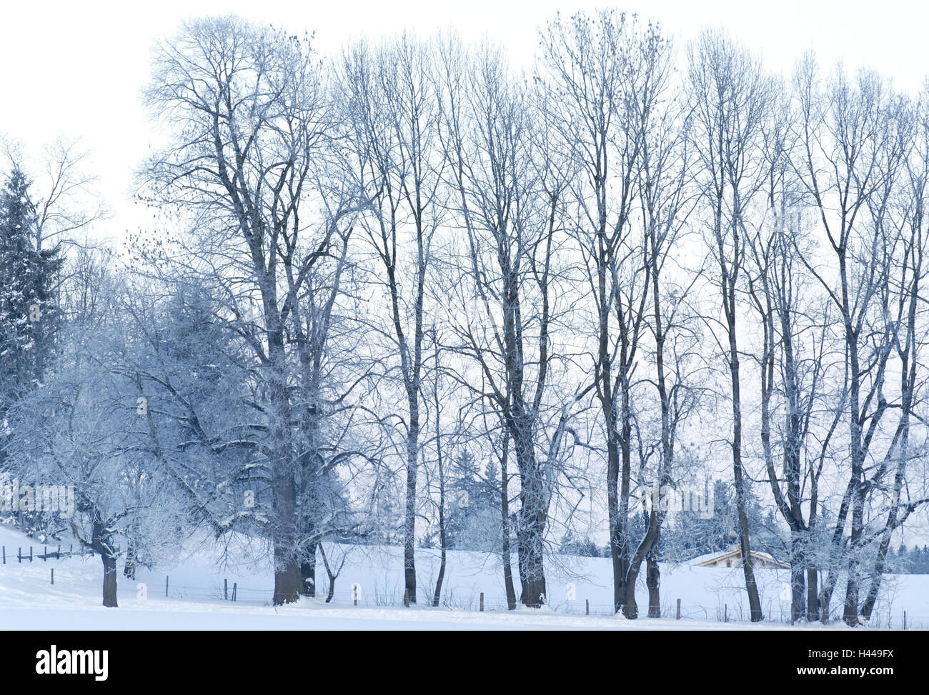 Fences and trees hi-res stock photography and images - Alamy