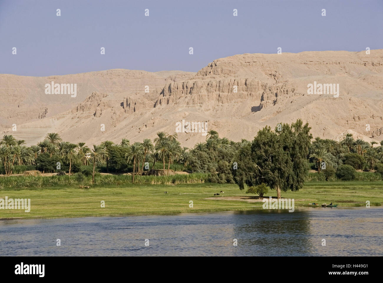 Egypt, Luxor, Nile scenery, Upper Egypt, scenery, mountains, rock, oasis, meadow, palms, the Nile, river, contrast, nature, Stock Photo