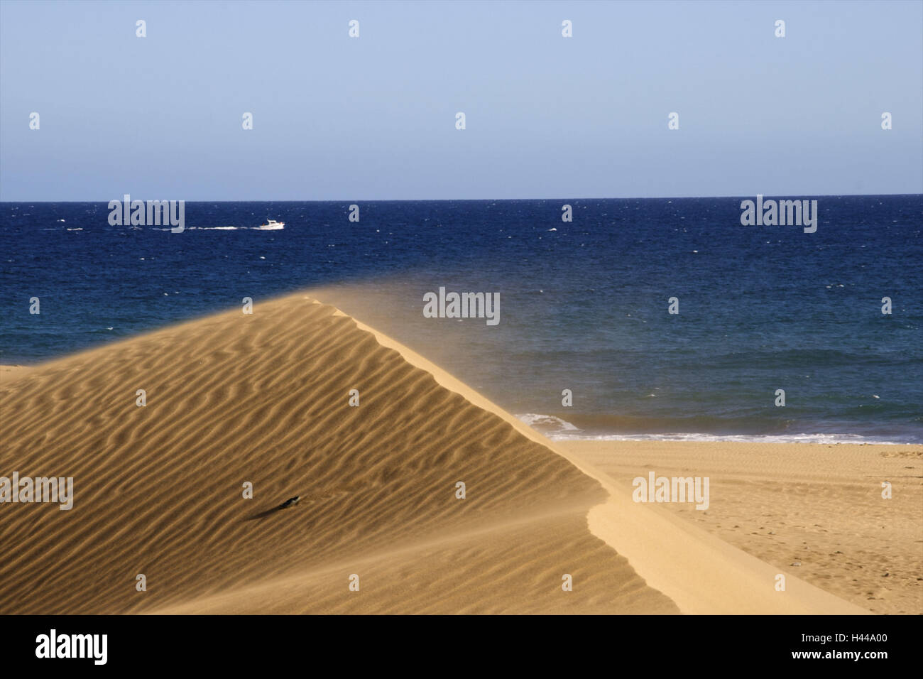 Spain, Canary islands, grain Canaria, south coast, Maspalomas, Sand dune, wind, Stock Photo