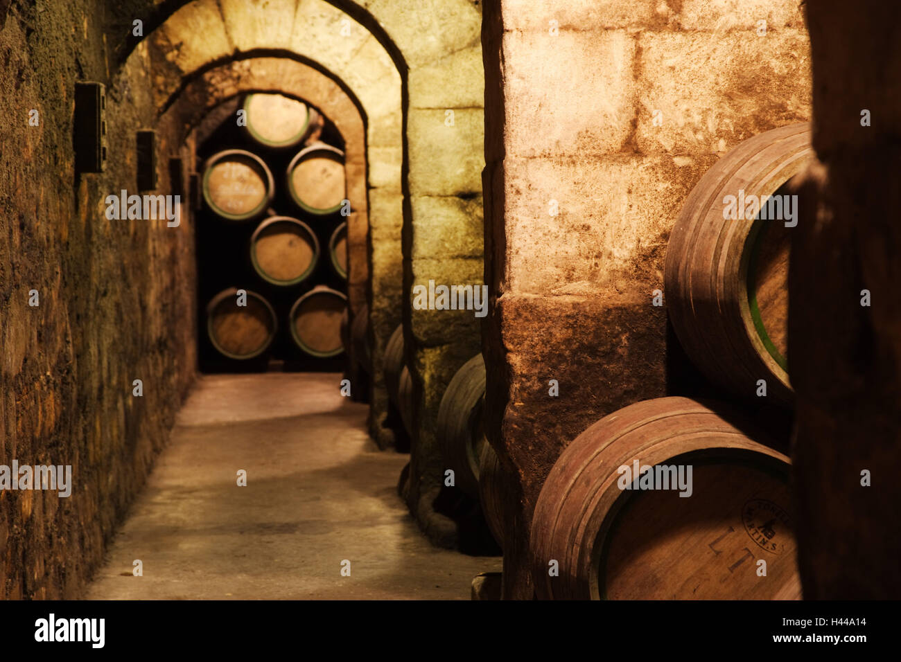 Spain, La Rioja, wine cellar, Stock Photo