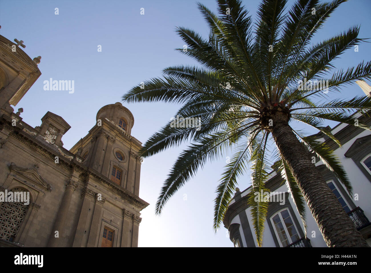 Spain, Canary islands, Grand Canary, lasing of Palma, Old Town 'La Vegueta', cathedral Santa Ana, steeple, palm, Stock Photo