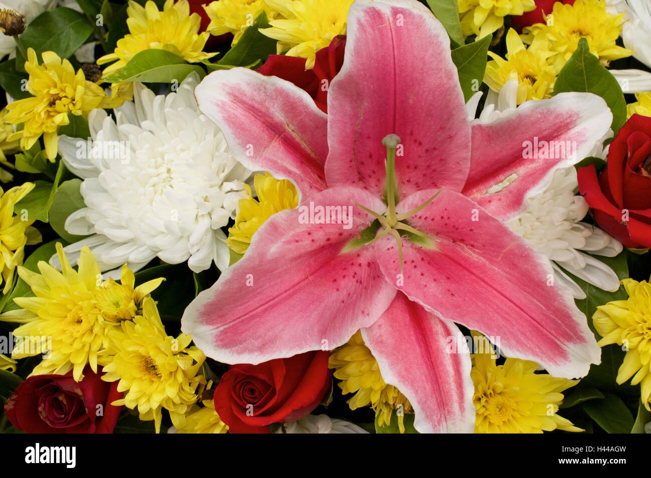 Pink lilly Red roses yellow spider white chrysanthemum mixed flower Stock Photo