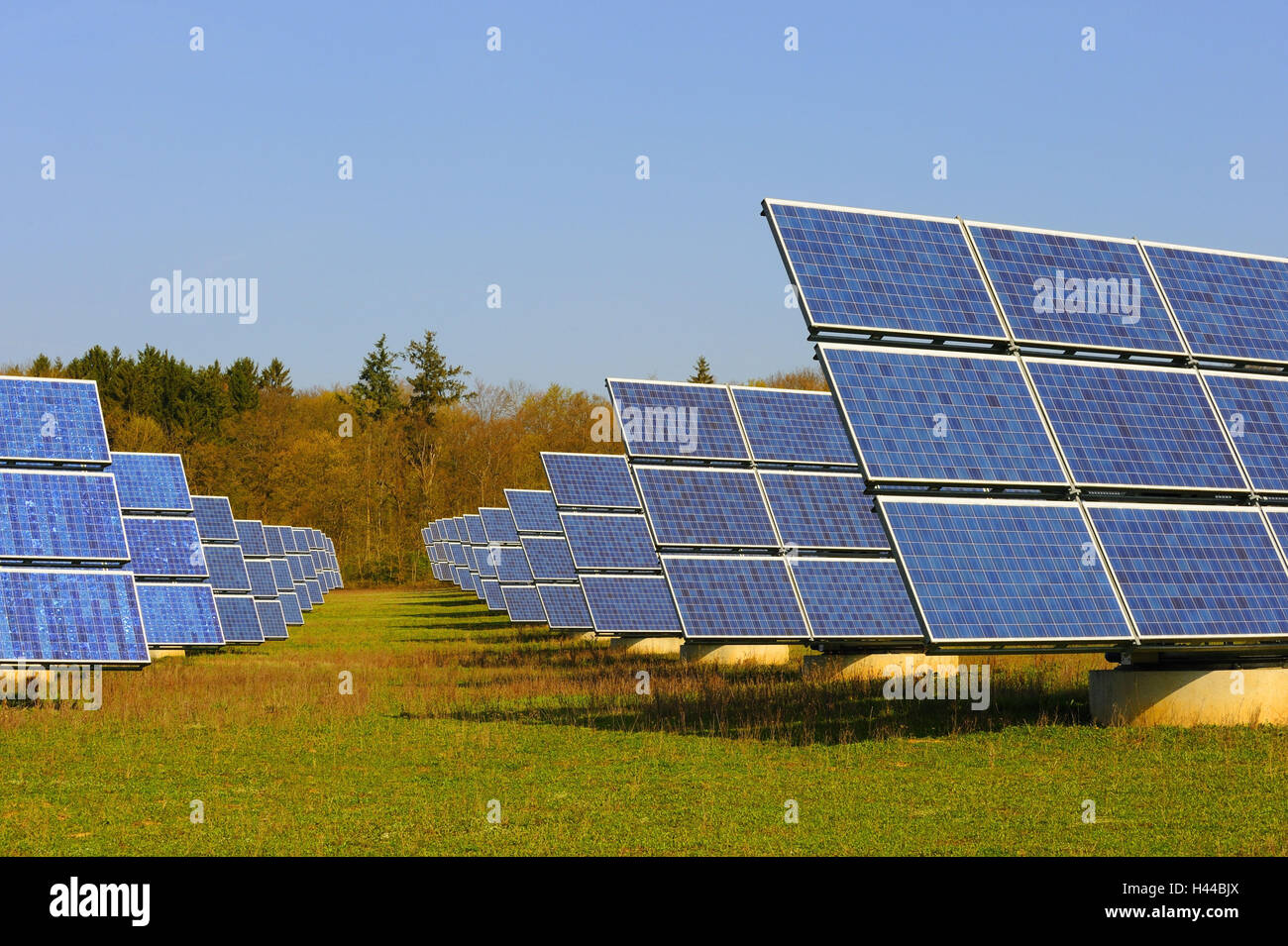 Meadow, solar collectors, solar cells, detail Stock Photo Alamy
