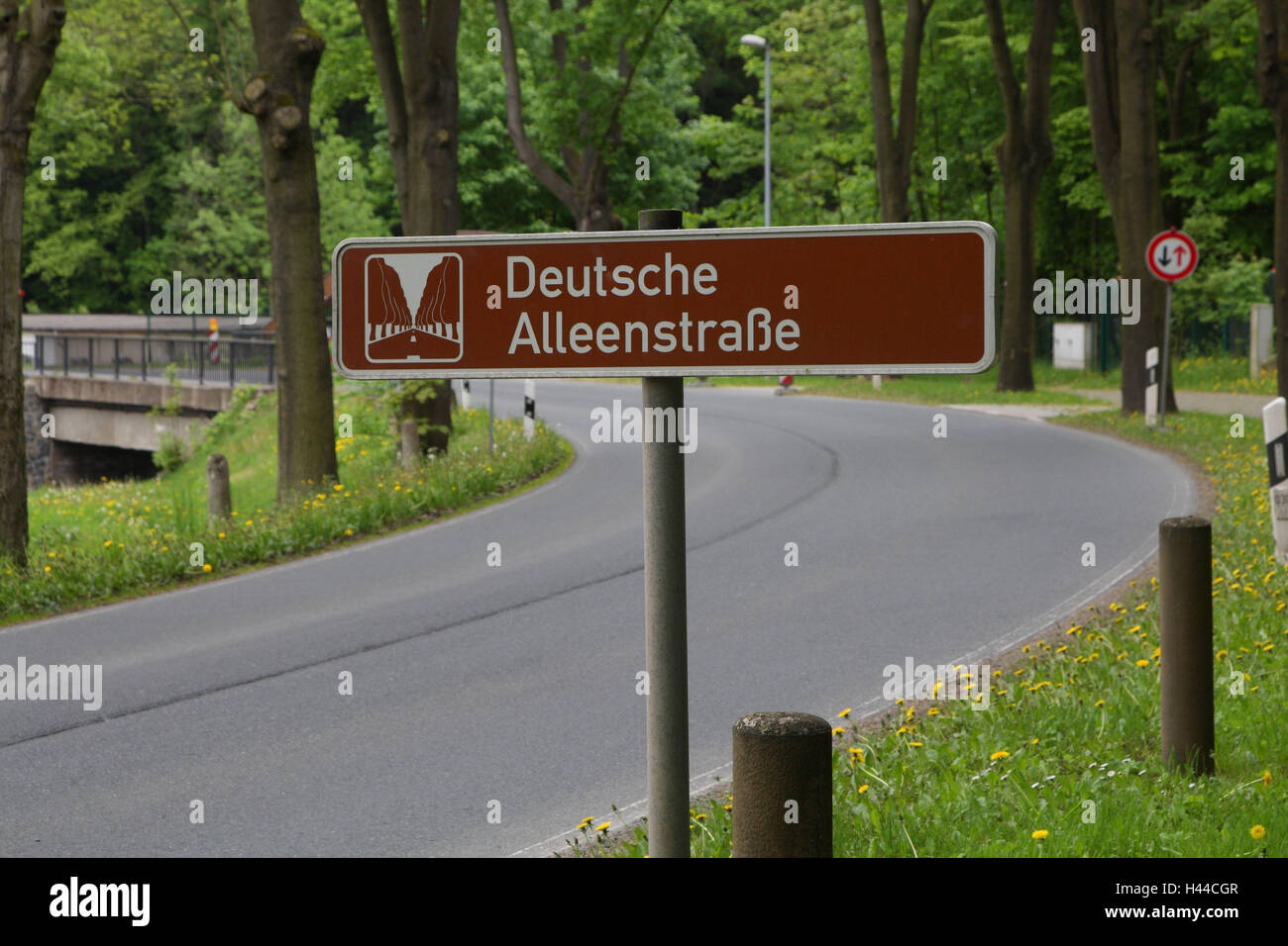 Germany, Saxon Switzerland, roadside, sign, German Alleenstrasse, Stock Photo