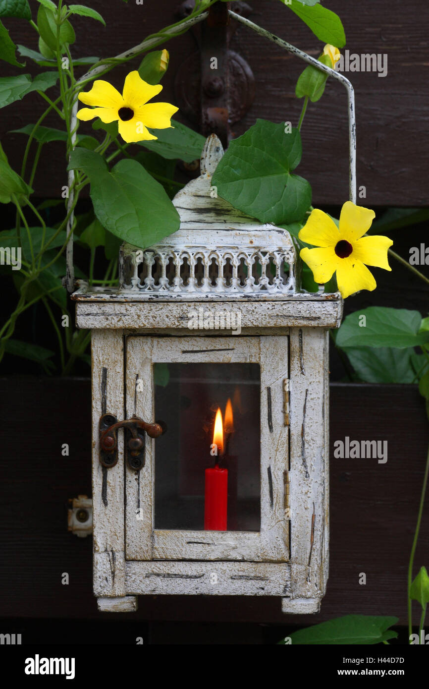 Garden, lantern, candle, burn Stock Photo Alamy