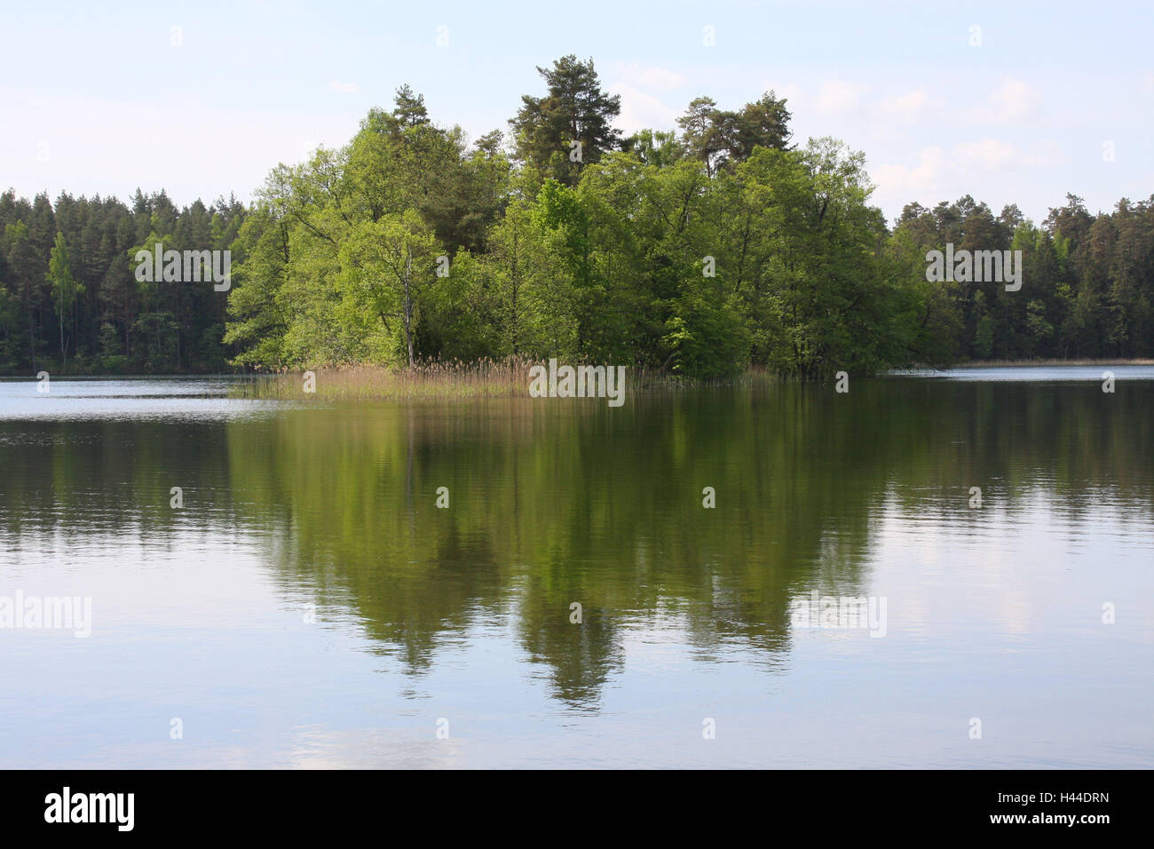 Poland, scenery, lake, island, destination, nature, vegetation, trees, water, mirroring, water surface, deserted, rest, silence, Idyll, Stock Photo
