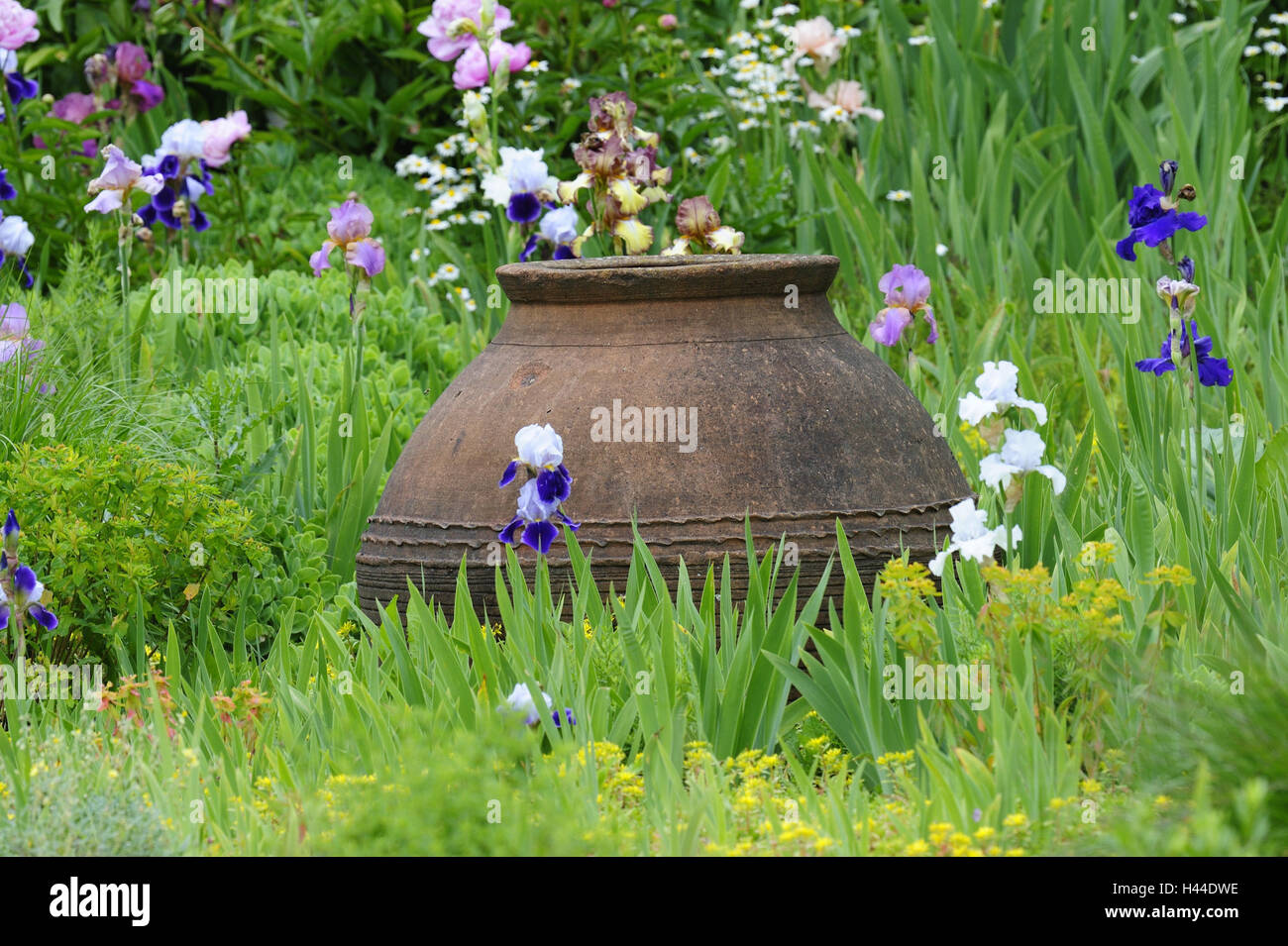 Garden, clay vase Stock Photo Alamy