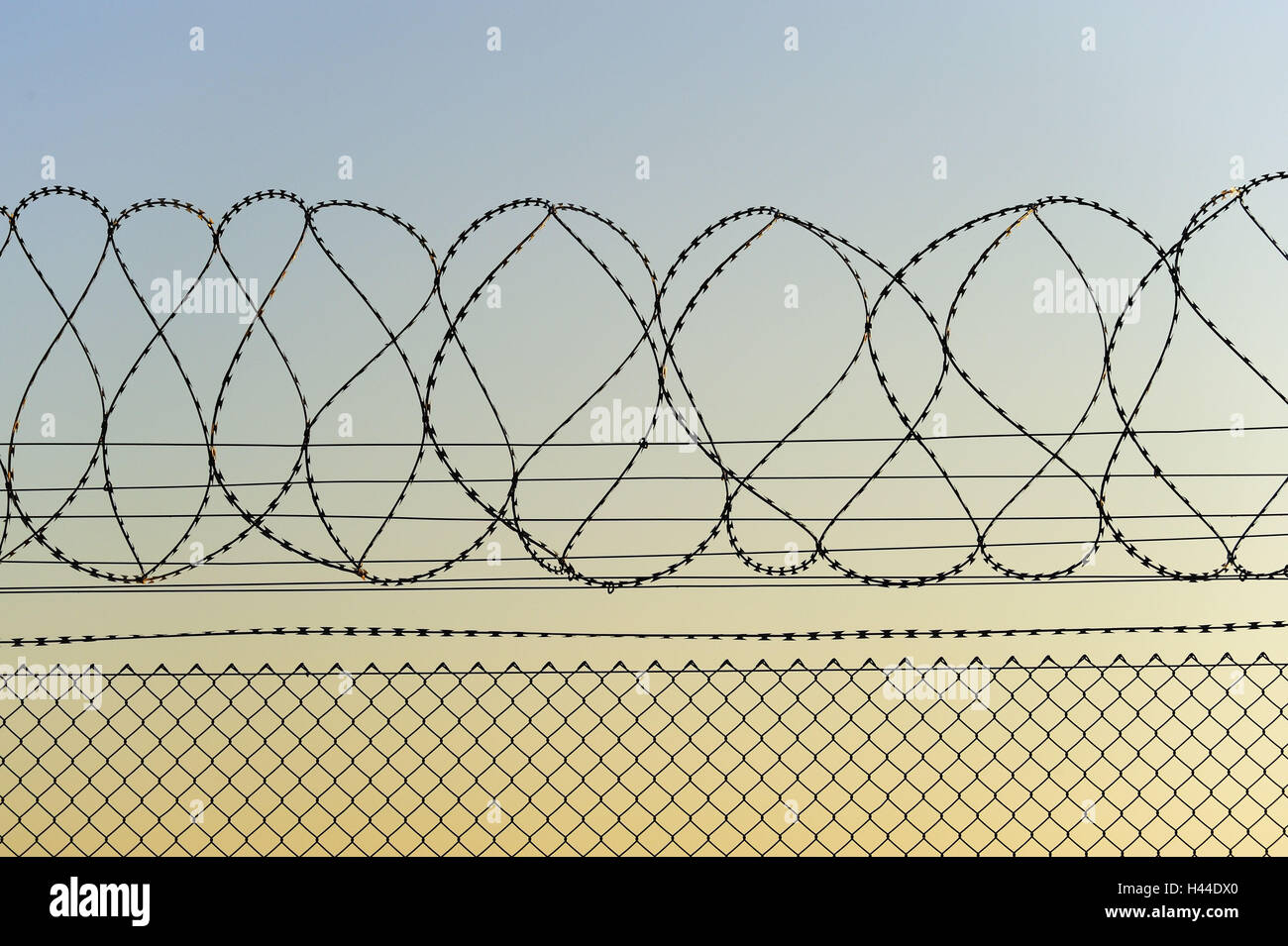 Barbed wire, Stock Photo