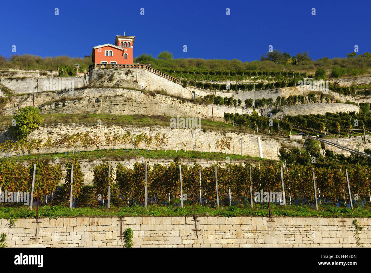 Germany, Saxony-Anhalt, Unstruttal, vineyards, Freyburg / Unstrut, small Tuscany castle, Stock Photo