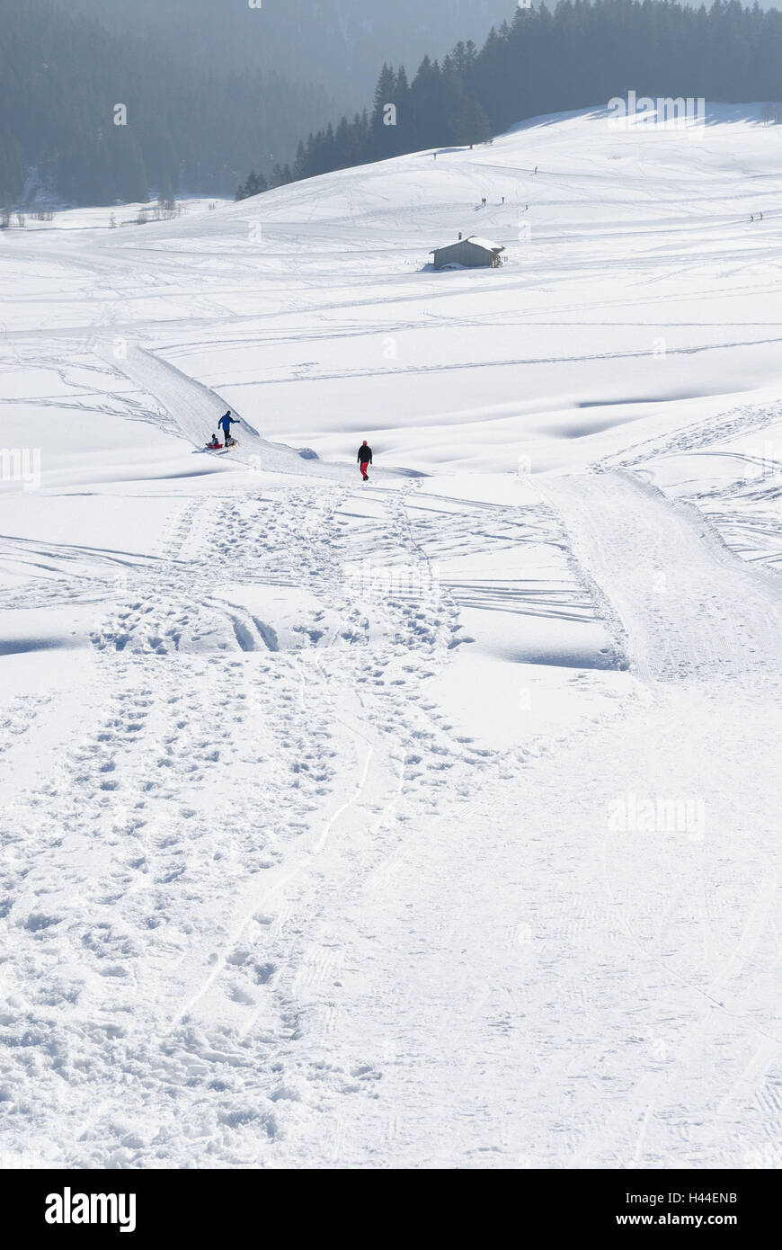 Snow surface, runway, cross-country trail, stroller, tobogganist, skier, cross-country skier, wood, hut, Stock Photo