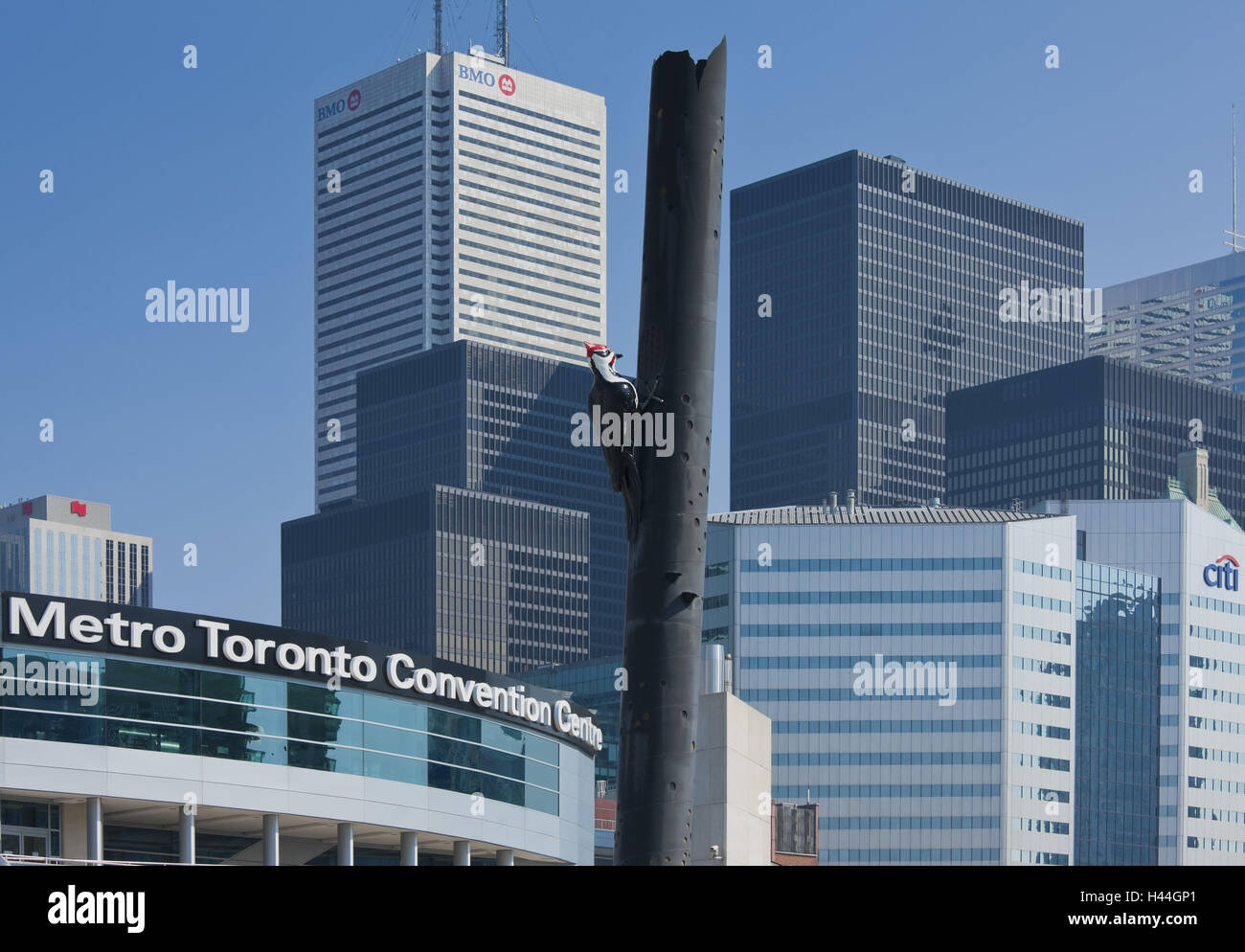 Canada, Ontario, Toronto, centre, woodpecker, skyscraper, Convention Centre, Stock Photo