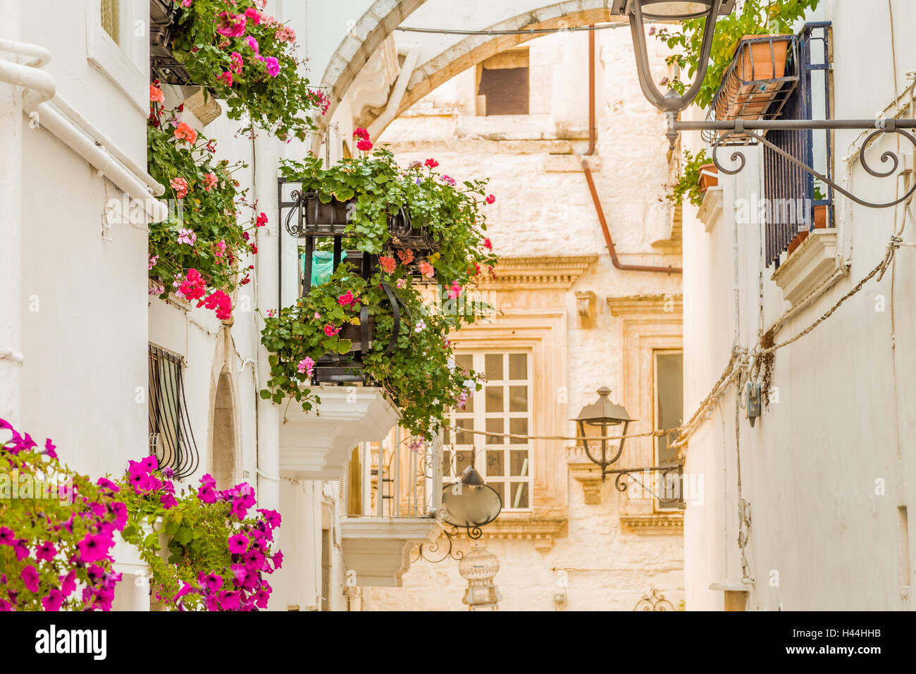 locorotondo in Apulia, Italy, hanging flowers of whitewashed houses on narrow streets Stock Photo