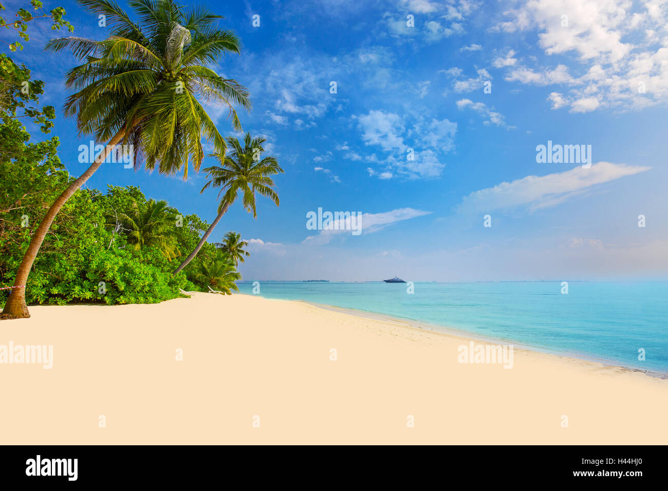 Tropical Maldives island with sandy beach, palm trees, overwater bungalows and tourquise clear water Stock Photo