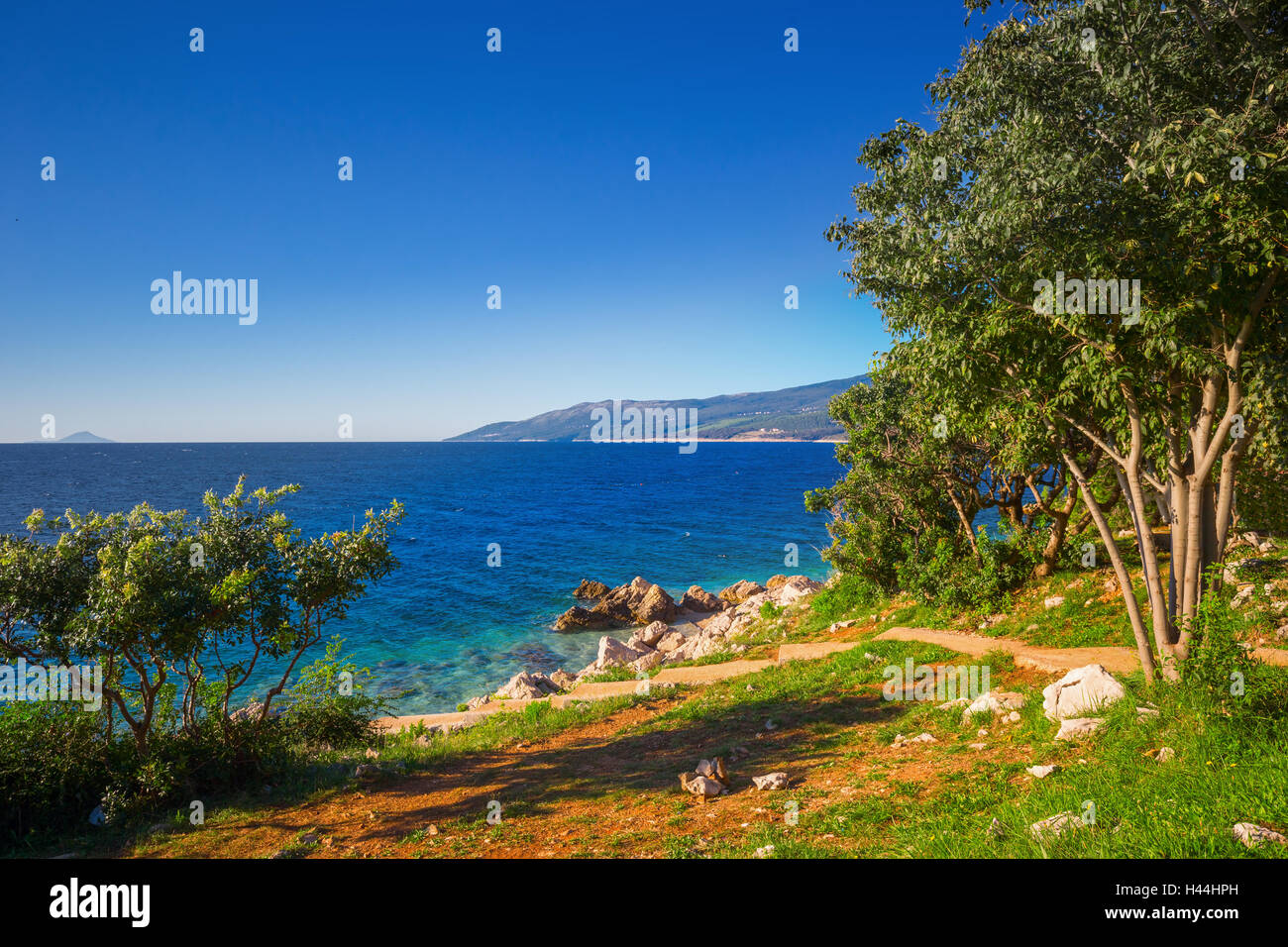 Amazing rocky beach with crystalic clean sea water with pine trees on the coast of Adriatic Sea, Istria, Croatia Stock Photo