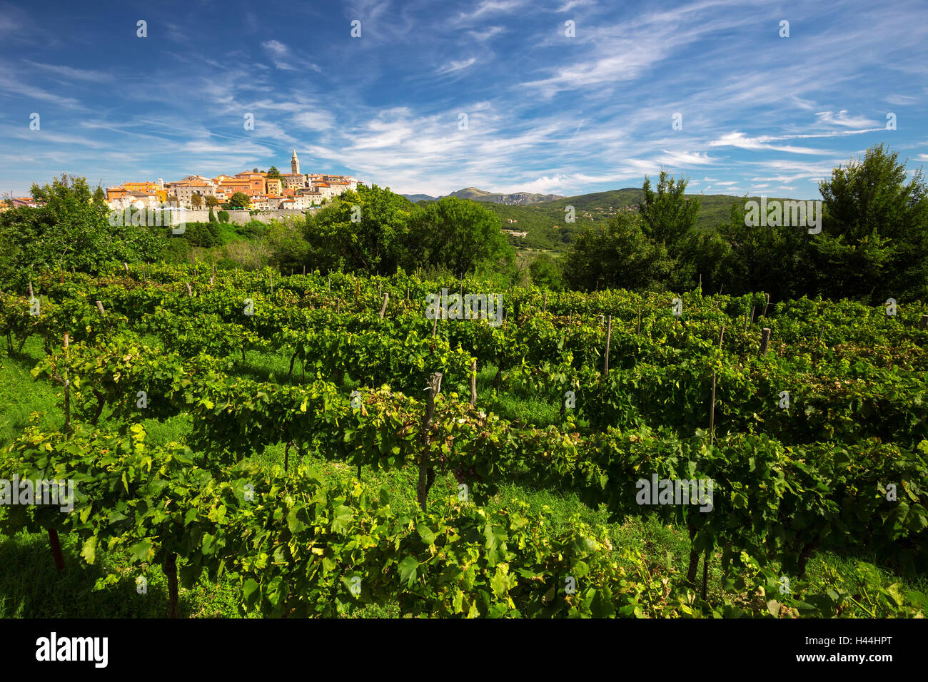 Old village with vineyard, blue sky and mountains in Labin, Istria, Croatia Stock Photo