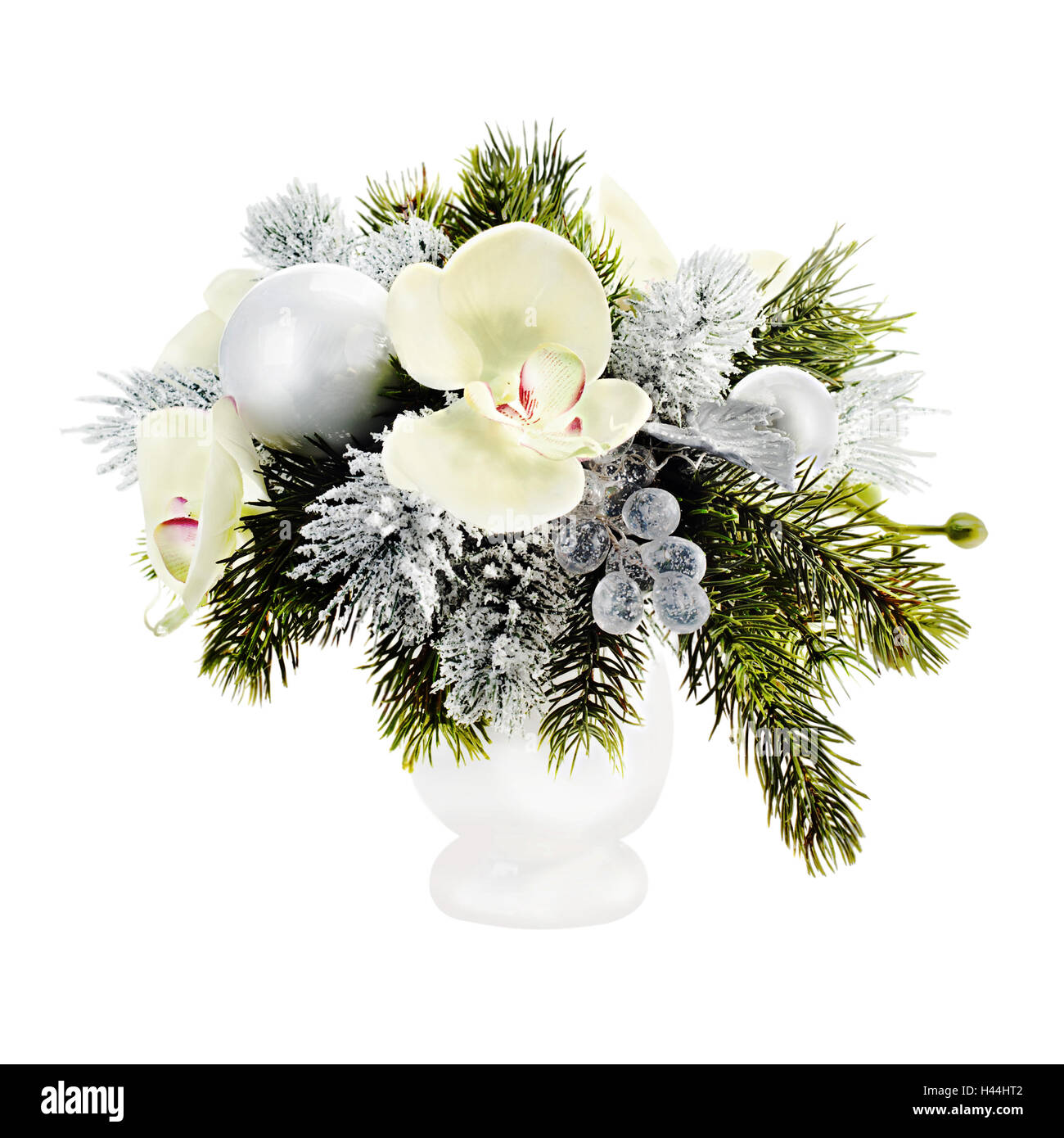 Christmas orchids hires stock photography and images Alamy