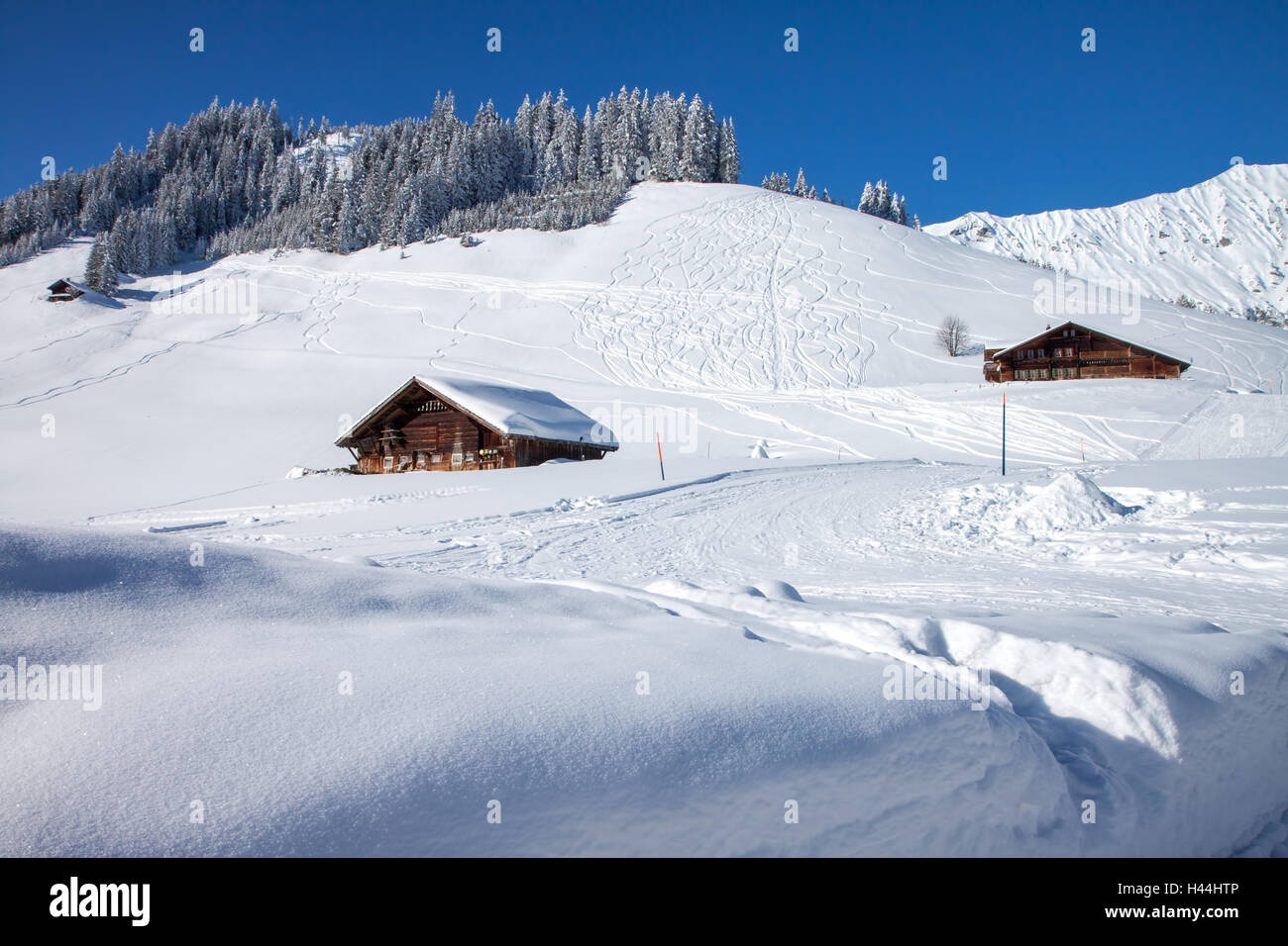 Farmhouse in the Swiss Alps covered by snow, Adelboden, Switzerland Stock Photo