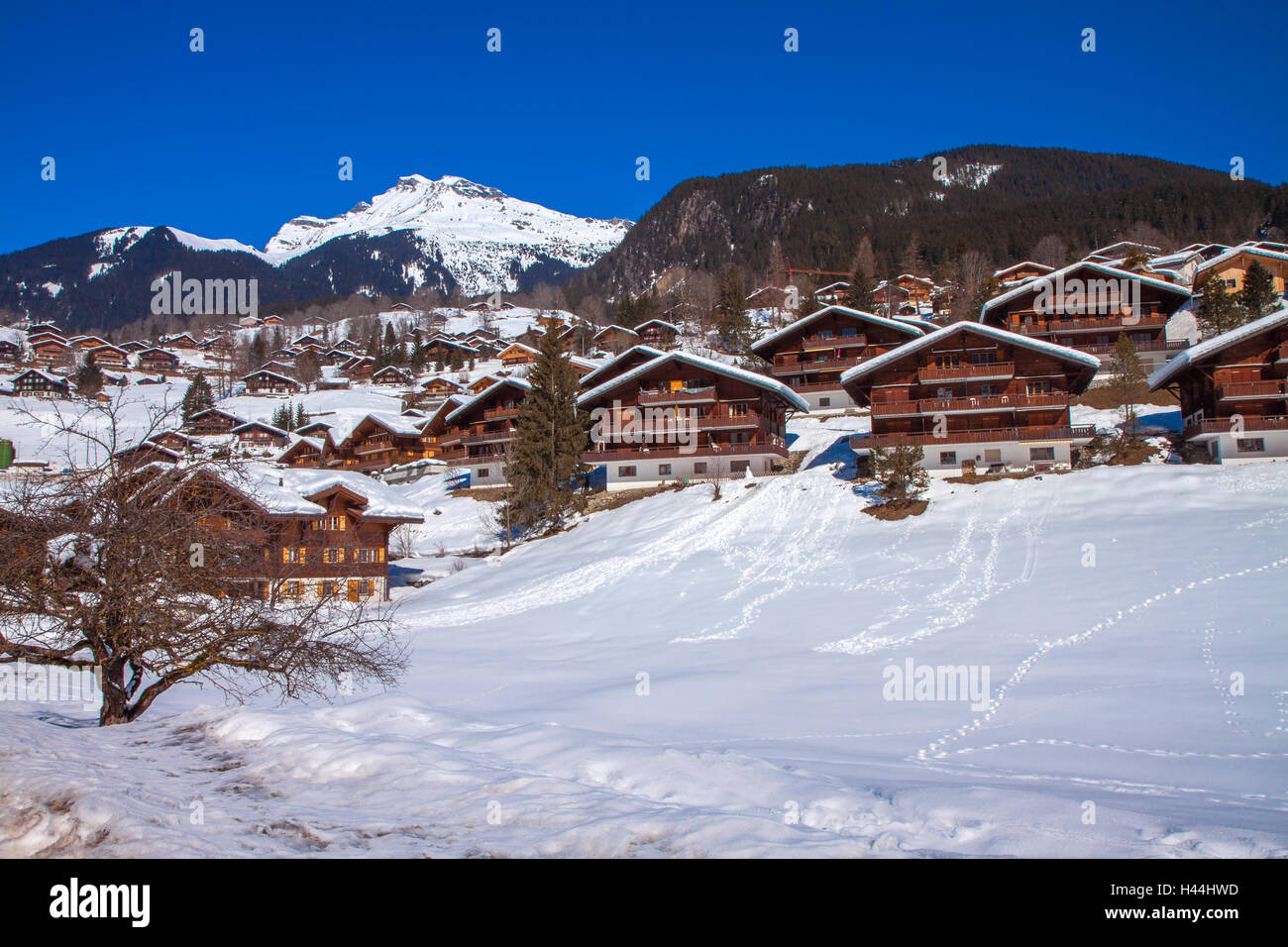 Wooden chalets covered by snow in Swiss Alps, Wengen, Switzerland Stock Photo