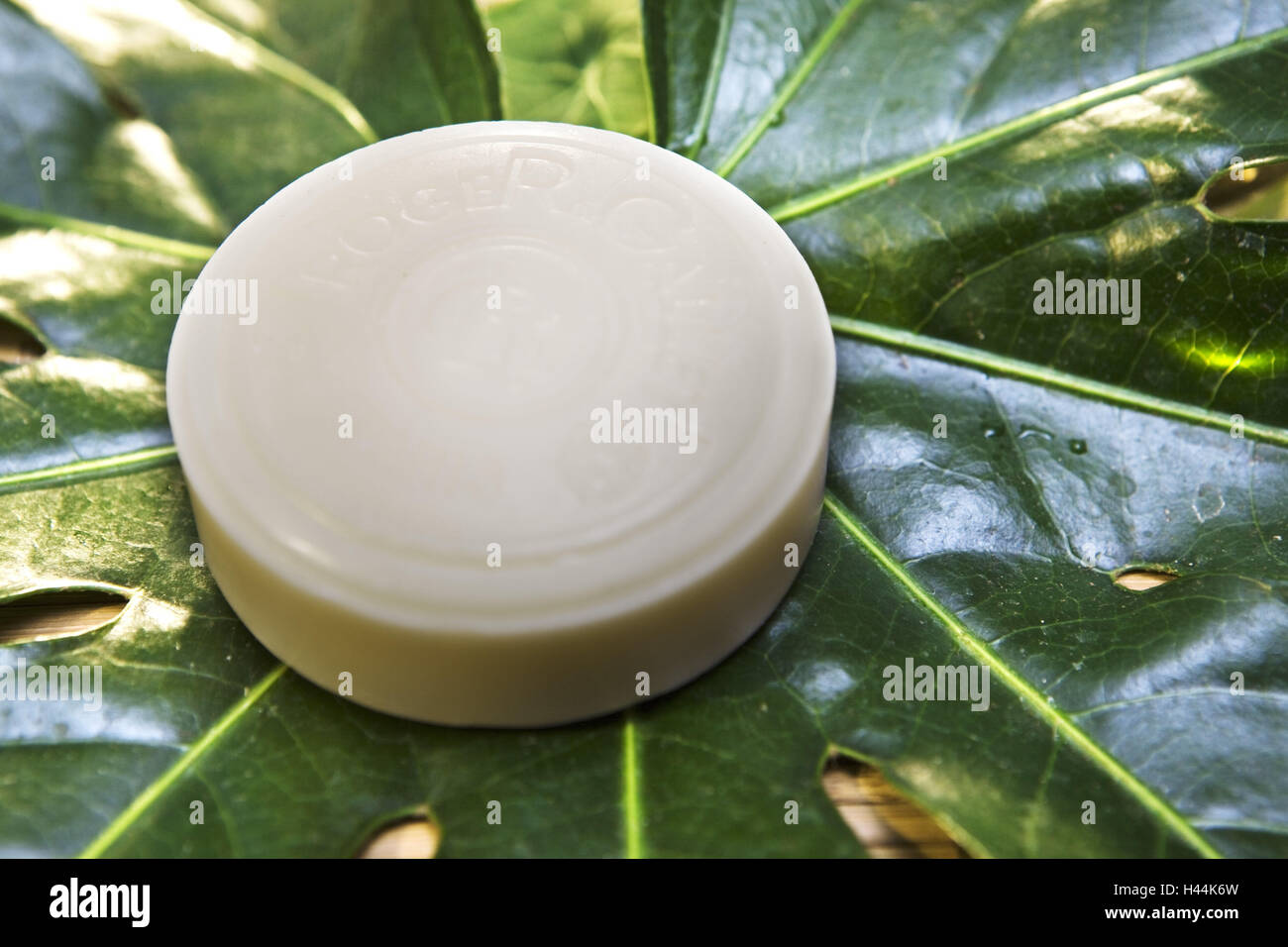 Precious soap, leaf, Stock Photo