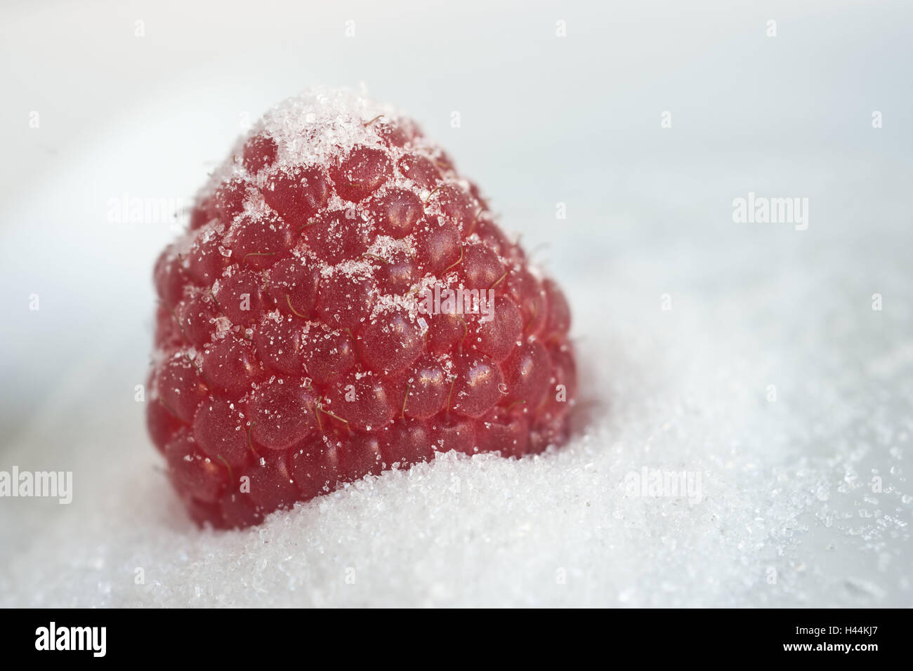 Raspberry, sugar, fruit, fruit, berry, sweetly, sweeten, überzuckert, rich in vitamins, medium close-up, landscape format, Stock Photo