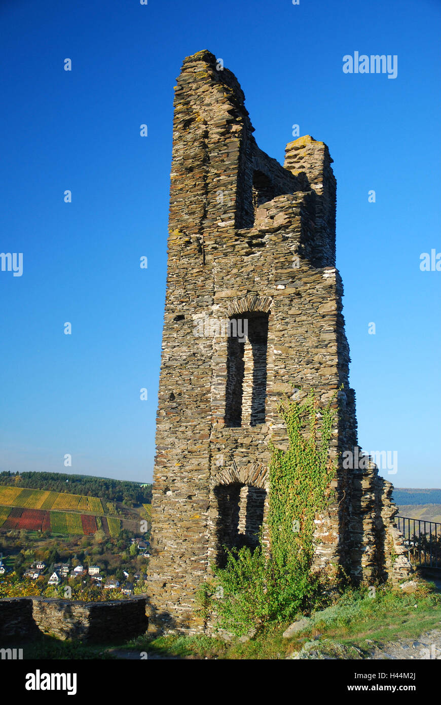 Germany, Rhineland-Palatinate, the Moselle, Traben-Trarbach, castle Greven, ruin, Stock Photo