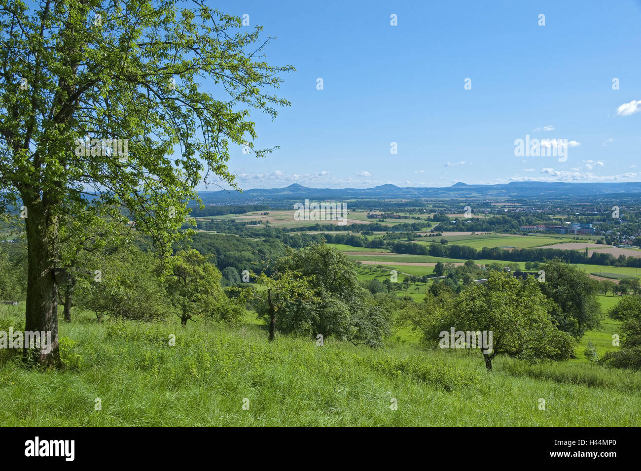 Germany, Baden-Wurttemberg, mountain Aichel, orchard meadows, scenery, nightmare foothills, view, tree, Staufen, Stauferland, orchard meadow, Stuifen, mountain Rech, Hohenstaufen, witness's mountains, meadow, heaven, blue, Stock Photo
