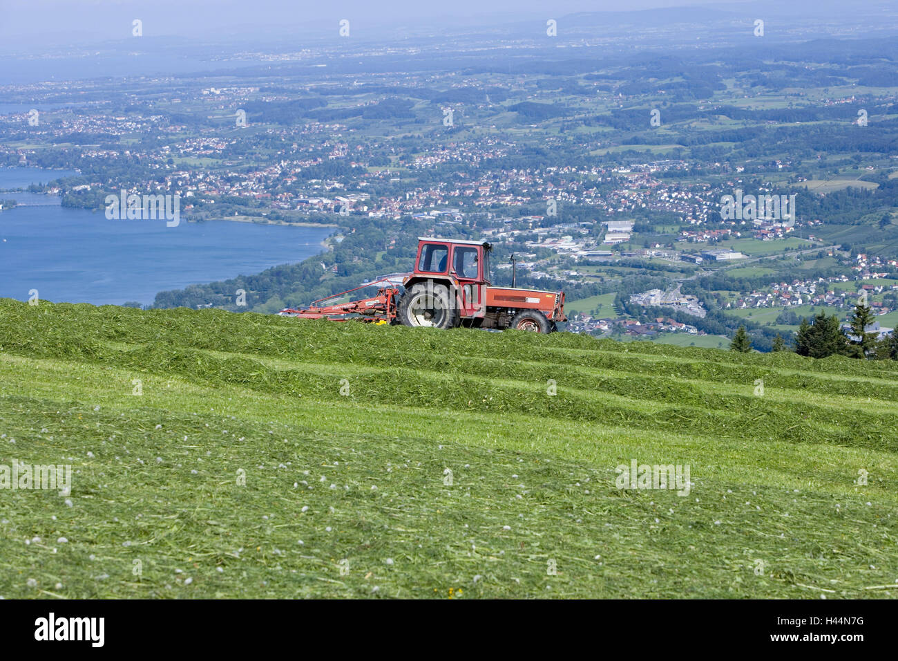 Austria, Vorarlberg, Bregenz, securities, hay harvest, Stock Photo
