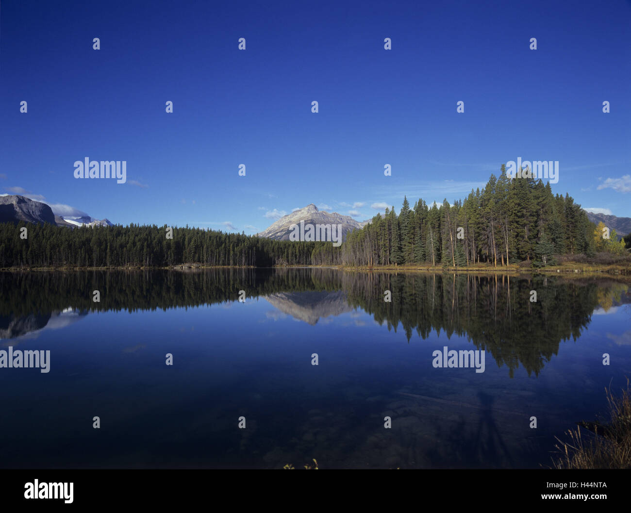 Canada, Alberta, Waterton Lakes national park, Stock Photo
