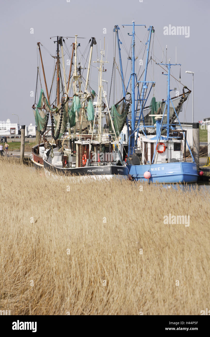 Germany, Lower Saxony, Dorum-new field, crab cutter, North Germany, North Sea coast, coast, harbour, cutter harbour, the North Sea, coastal scenery, heaven, blue, fishing, crab catching, networks, boots, cutters, fishing trawlers, ships, reed, grass, vacation, spring, angling, Stock Photo