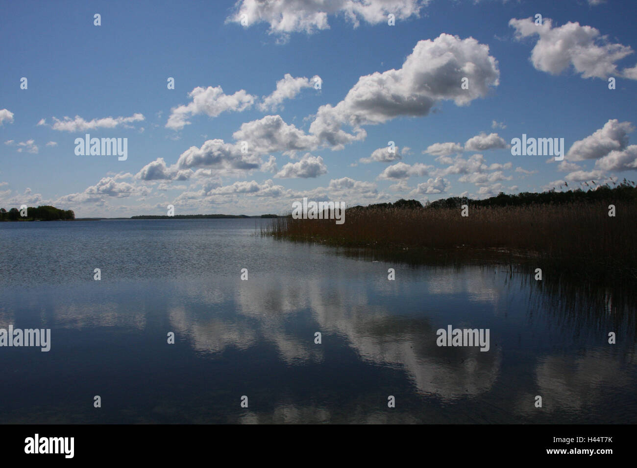 Poland, Masuria, lake, destination, nature, water, view, heaven, cloudy sky, clouds, rest, silence, Idyll, Stock Photo