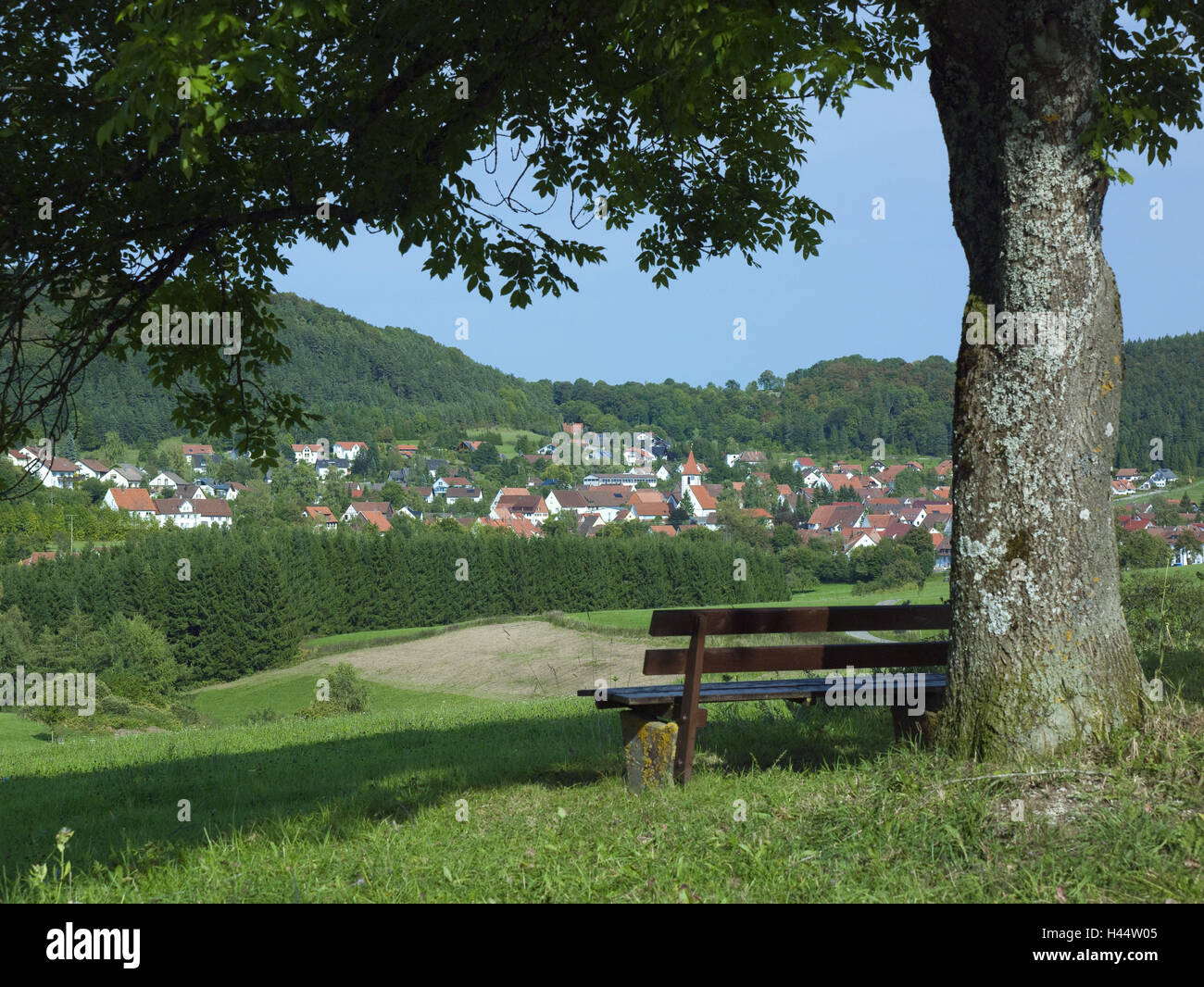 Germany, Baden Wurttemberg, Meßstetten Tieringen, local view, tree