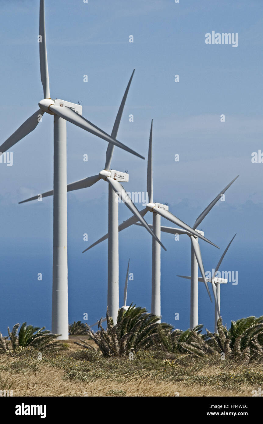 Canary, islands, Lanzarote, wind park, wind turbines, island, current production, energy, wind power, wind power, ecological current, scenery, wind turbines, energy, electricity, wind power wheels, power production, environmentally friendly, current produ Stock Photo