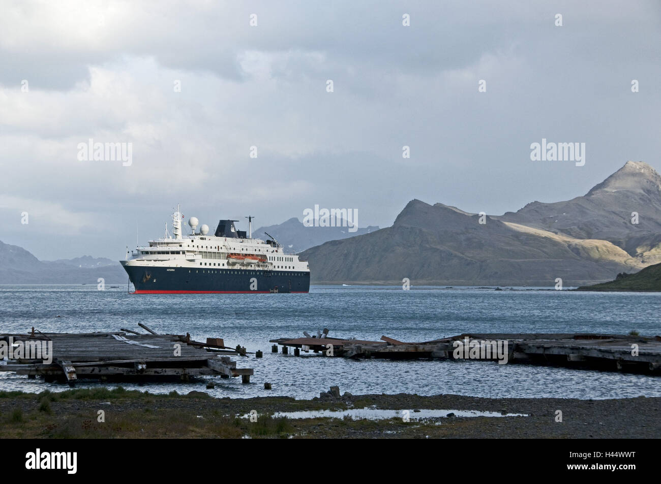 Südgeorgien, Grytviken, cruise ship 'Minerva', Stock Photo