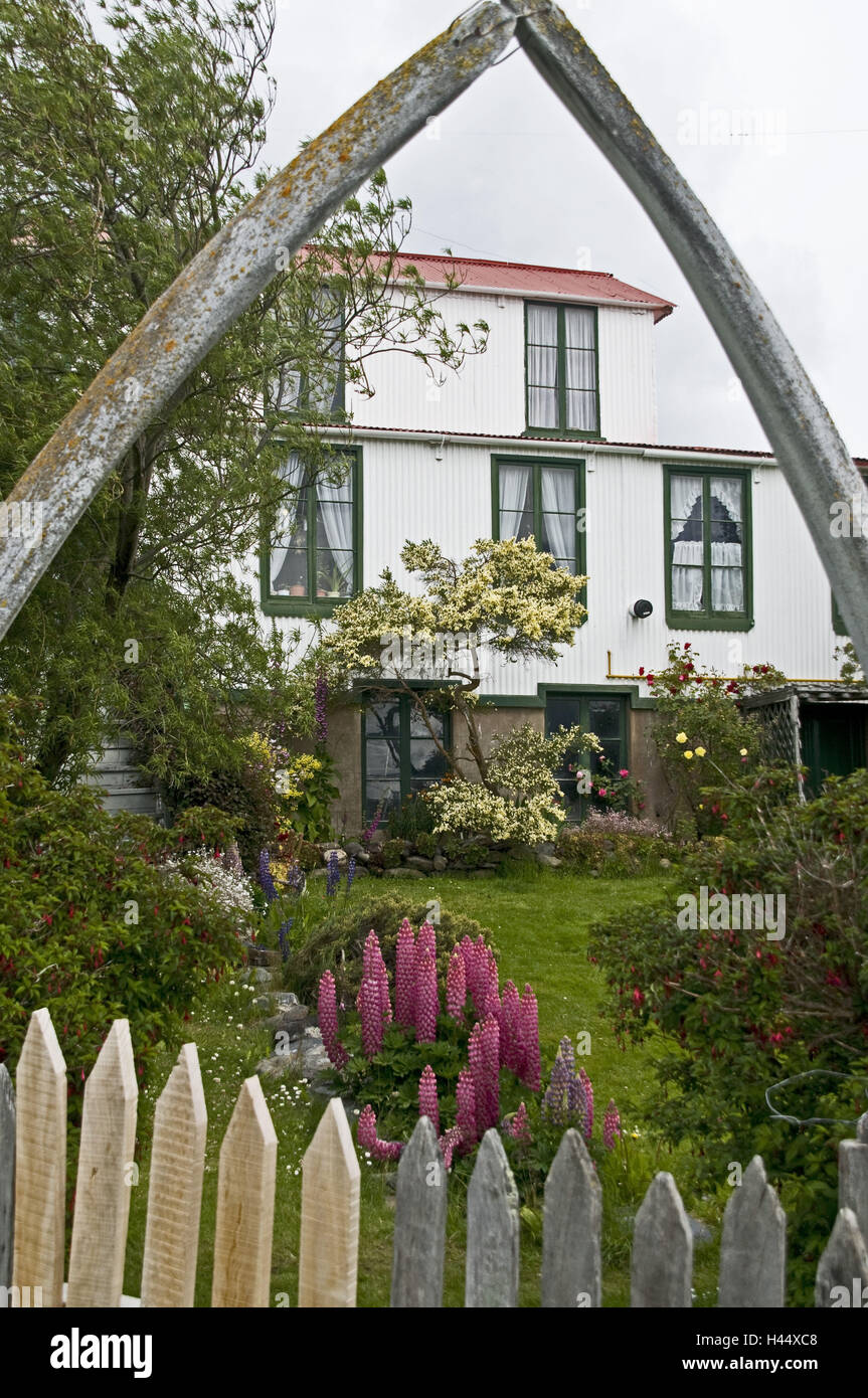 Whale fish bone hires stock photography and images Alamy