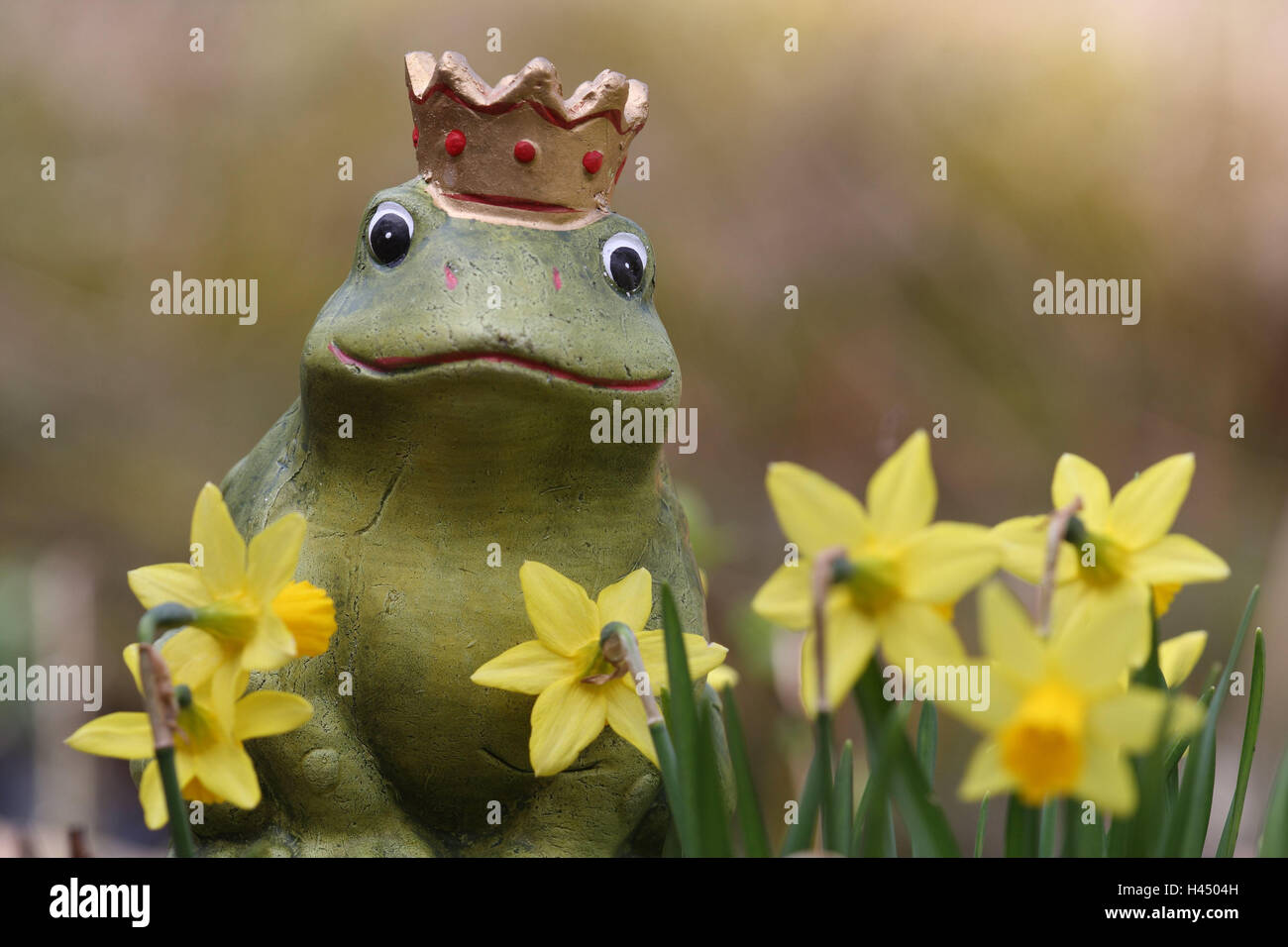 Garden figure, 'frog prince', daffodils, detail, flowers, garden, frog, figure, ceramics figure, crown, decoration, garden decoration, nicely, in of a kitschy way, spring, Stock Photo