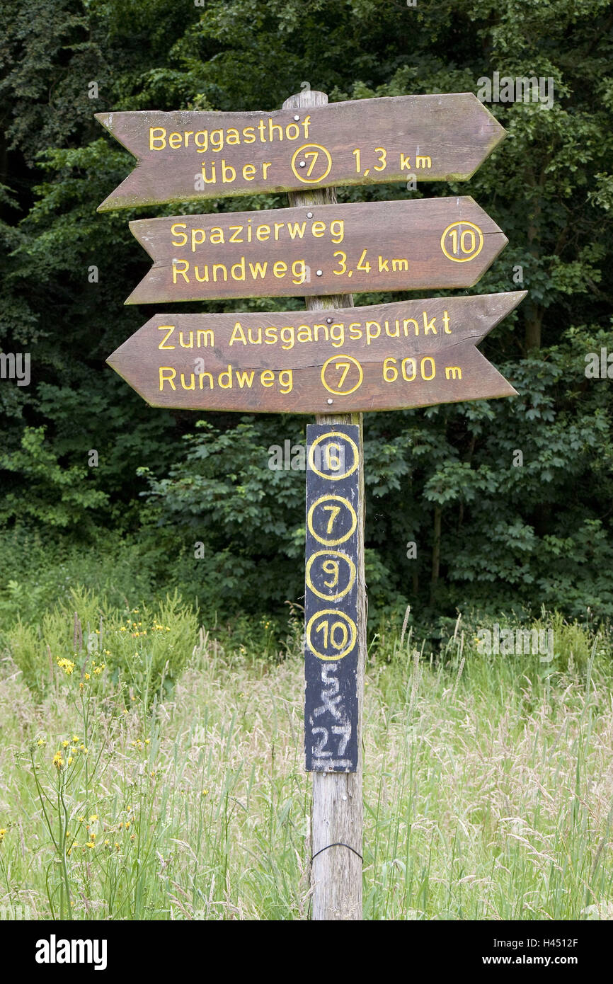 Three signposts in of a forest footpath, Stock Photo