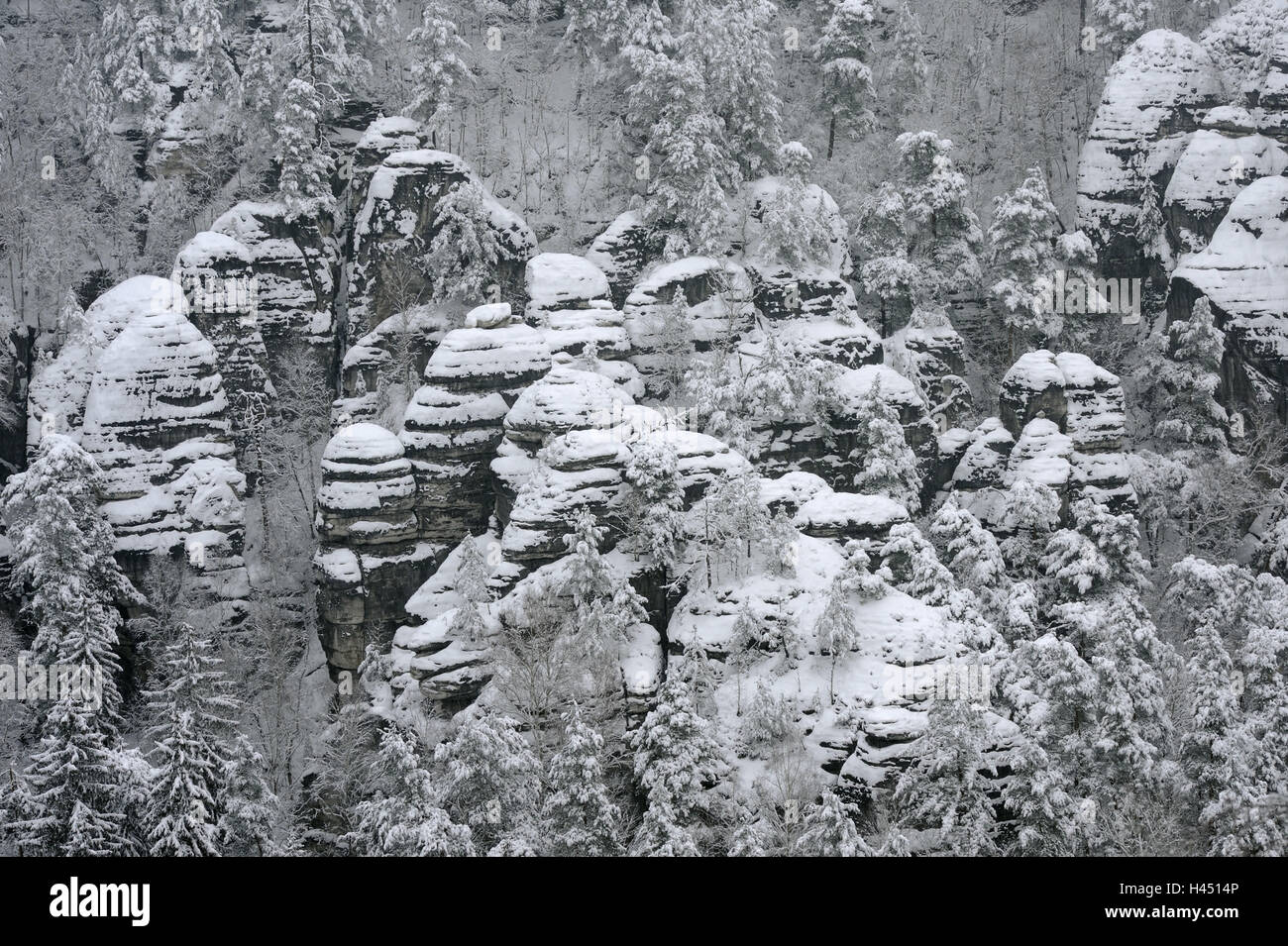 Nationwide park Saxon Switzerland, Elbsandsteingebirge, bastion, winter, Stock Photo