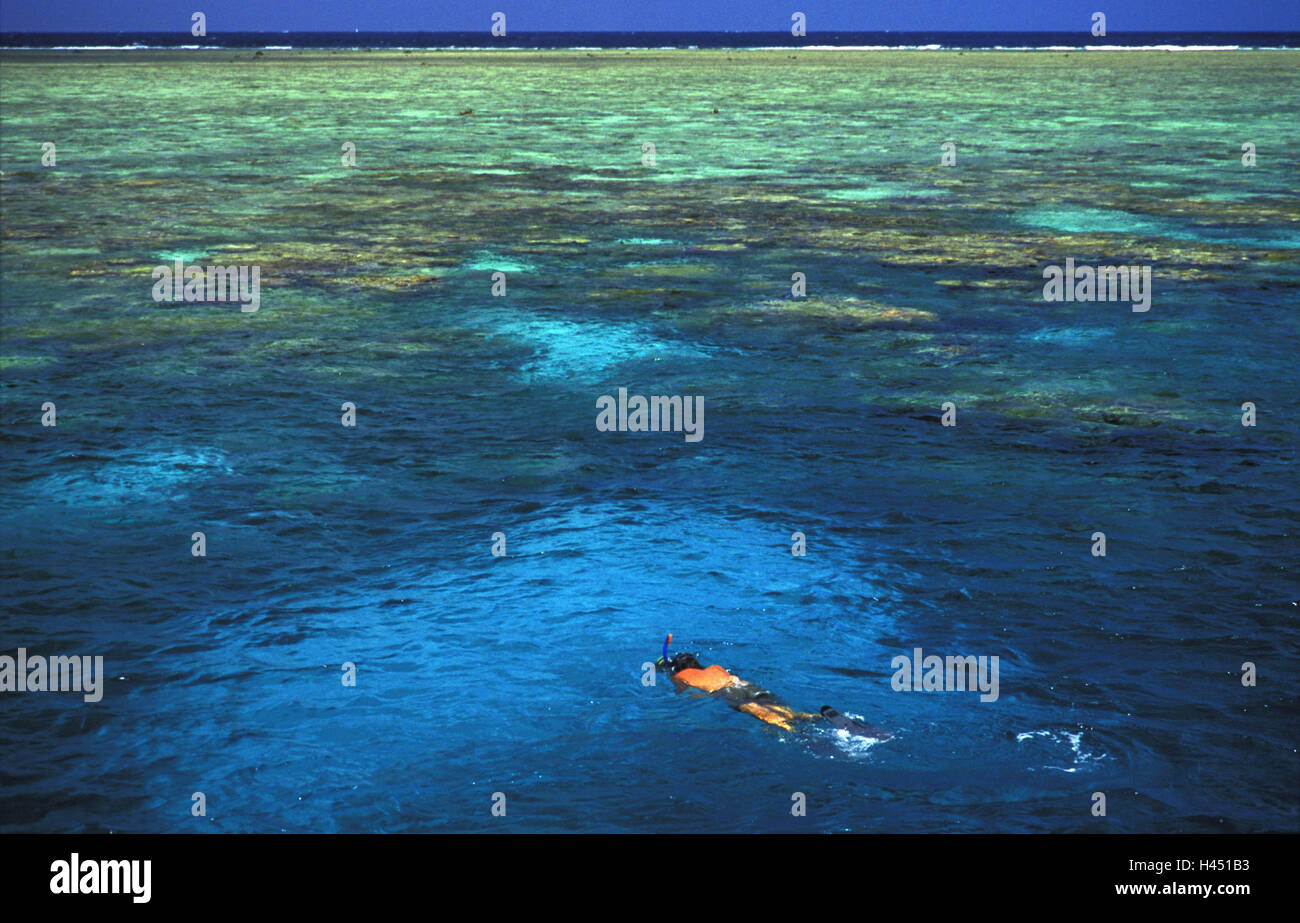 Australia, Great Barrier Reef, snorkler, Stock Photo
