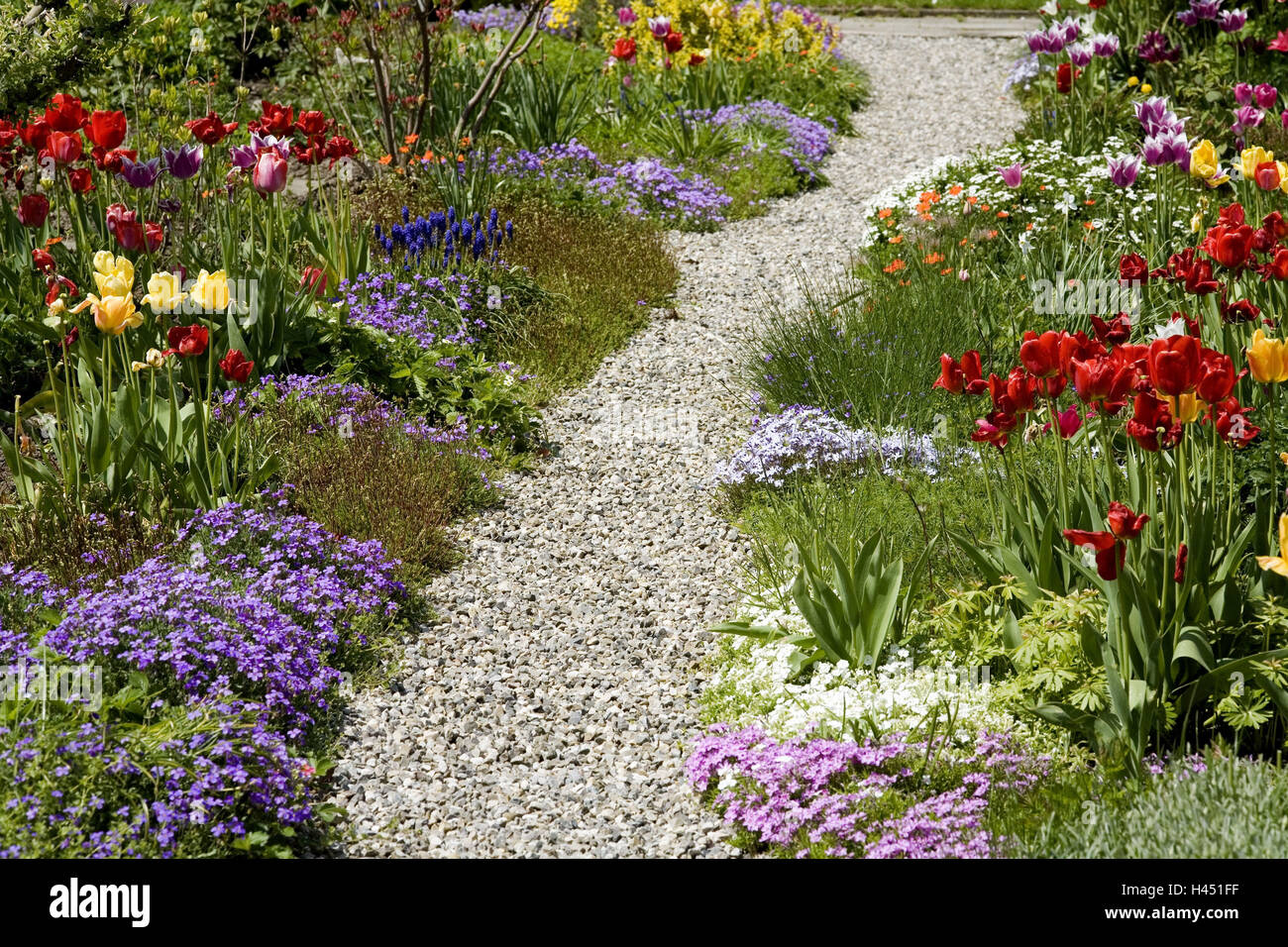 Plants gravel flowers hires stock photography and images Alamy