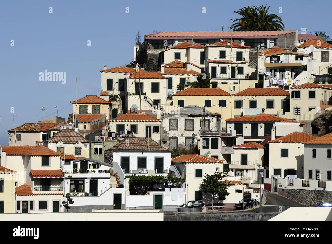 Portugal, island Madeira, Camara de Lobos, harbour, residential houses, Stock Photo
