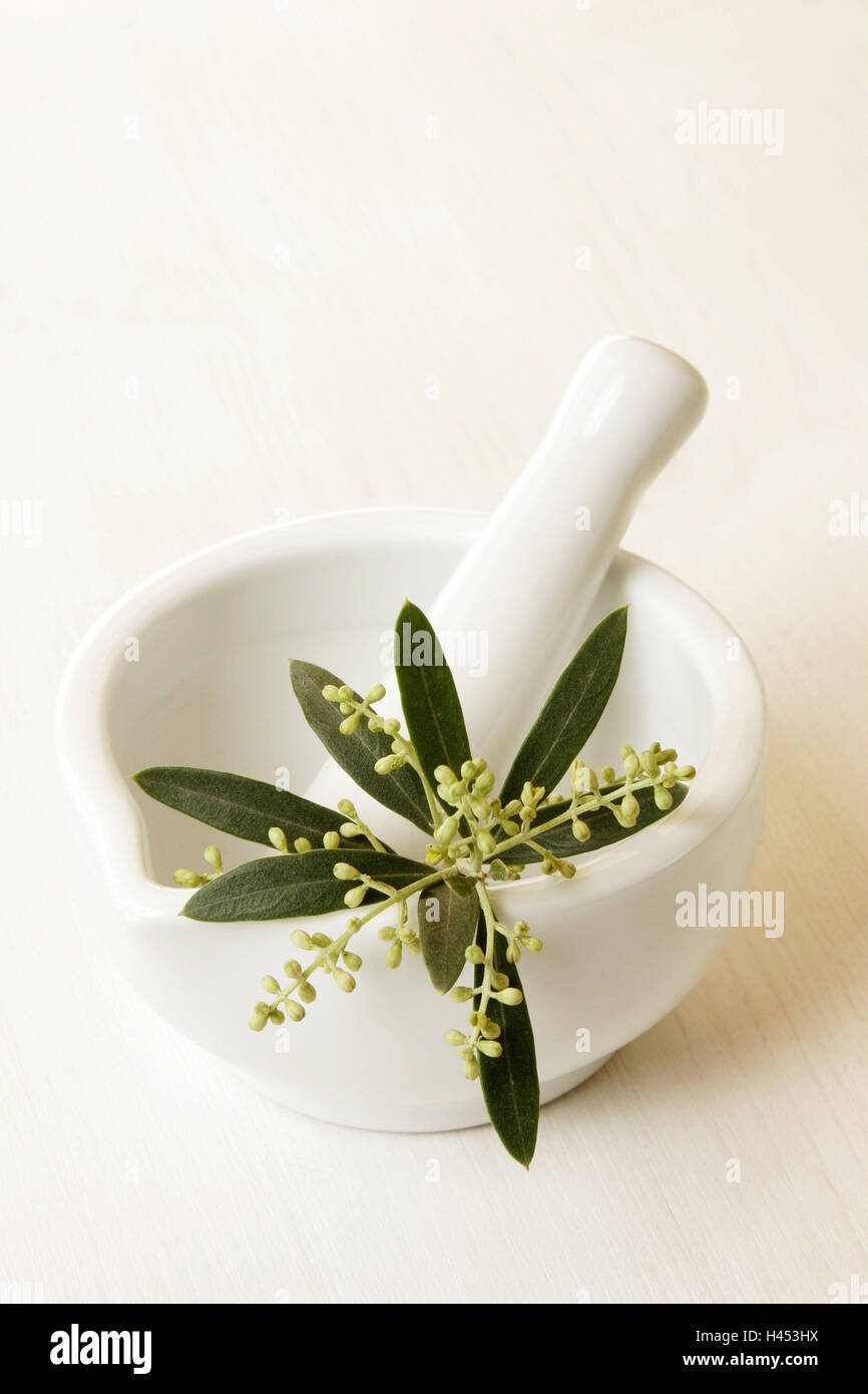 Mortars, tappets, olive branch, Olea, europaea, health, medicine, grind