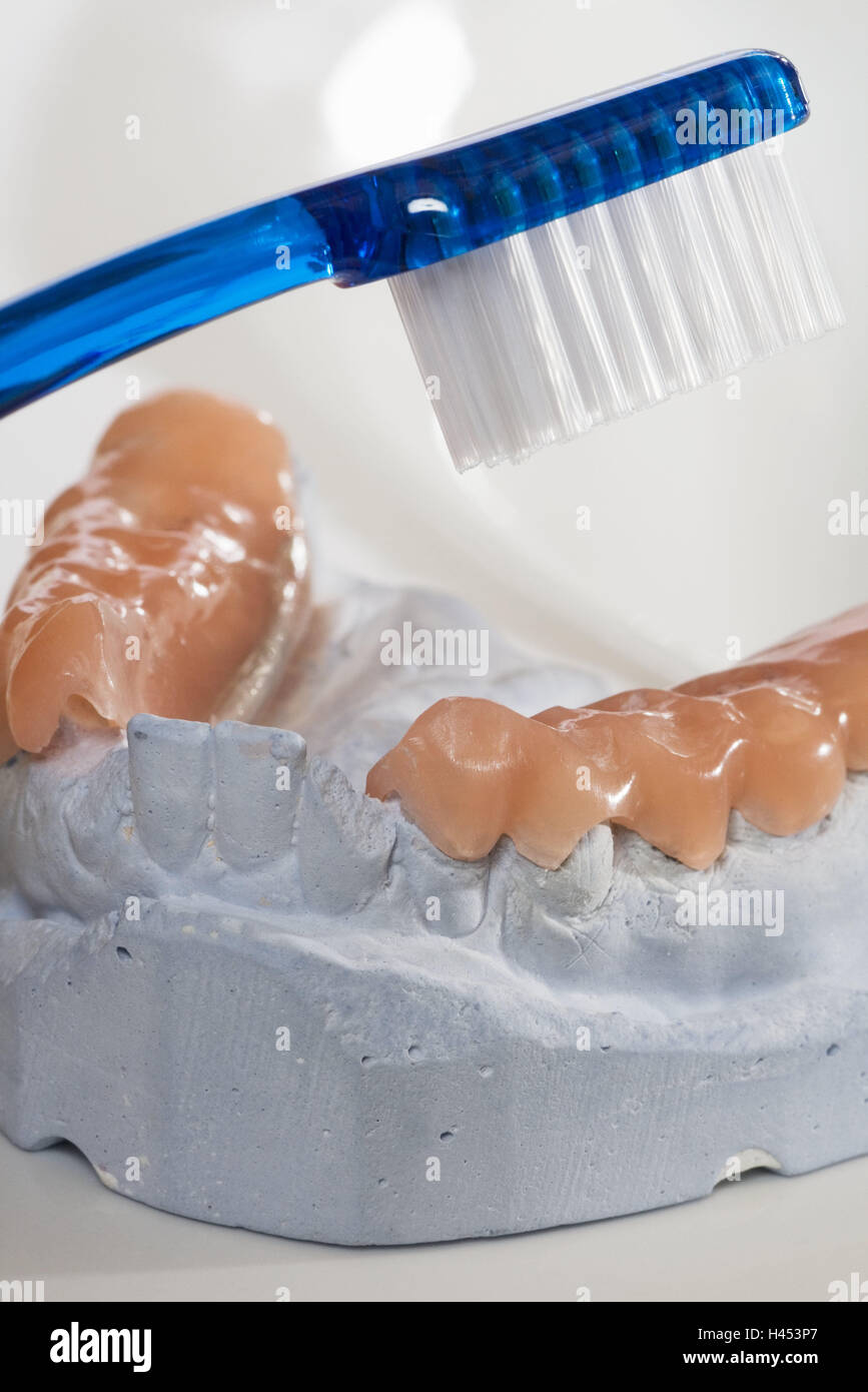dental impression, adjusted bite splint, toothbrush, medium closeup