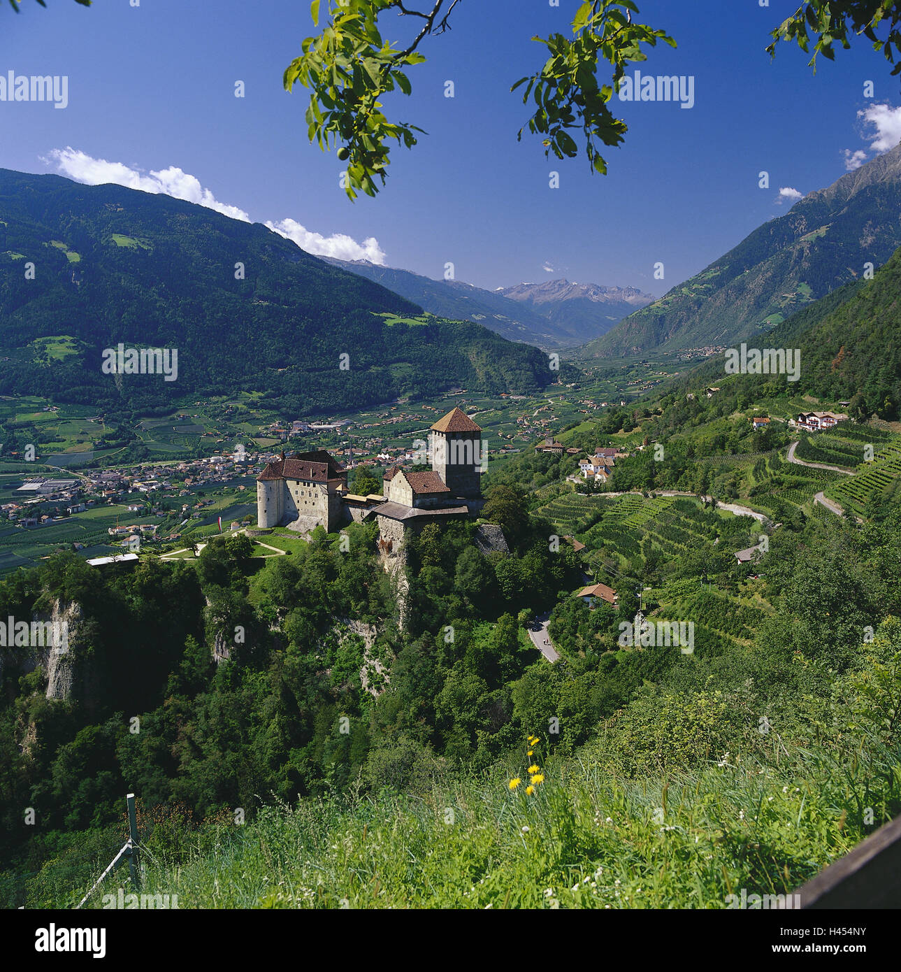 Italy, South Tyrol, castle Tyrol, view, Vinschgau, scenery, mountains, mountains, valley, places, vineyards, viticulture, wine-growing area, building, castle, structure, architecture, Stock Photo