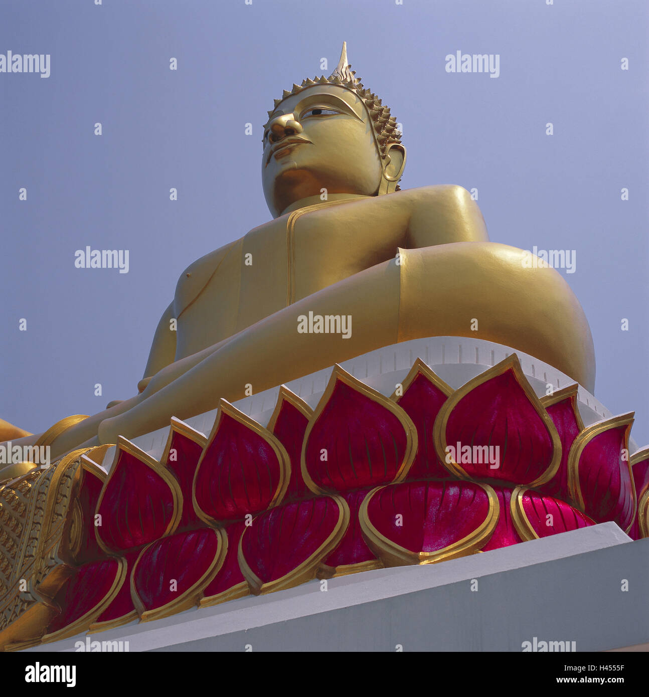 Thailand, Nong Khai, temple Wat Lari Duan, Buddha's statue, perspective, Asia, South-East Asia, destination, culture, place of interest, faith, religion, Buddhism, statue, golden, gilds, largely, tremendously, imposingly, Stock Photo