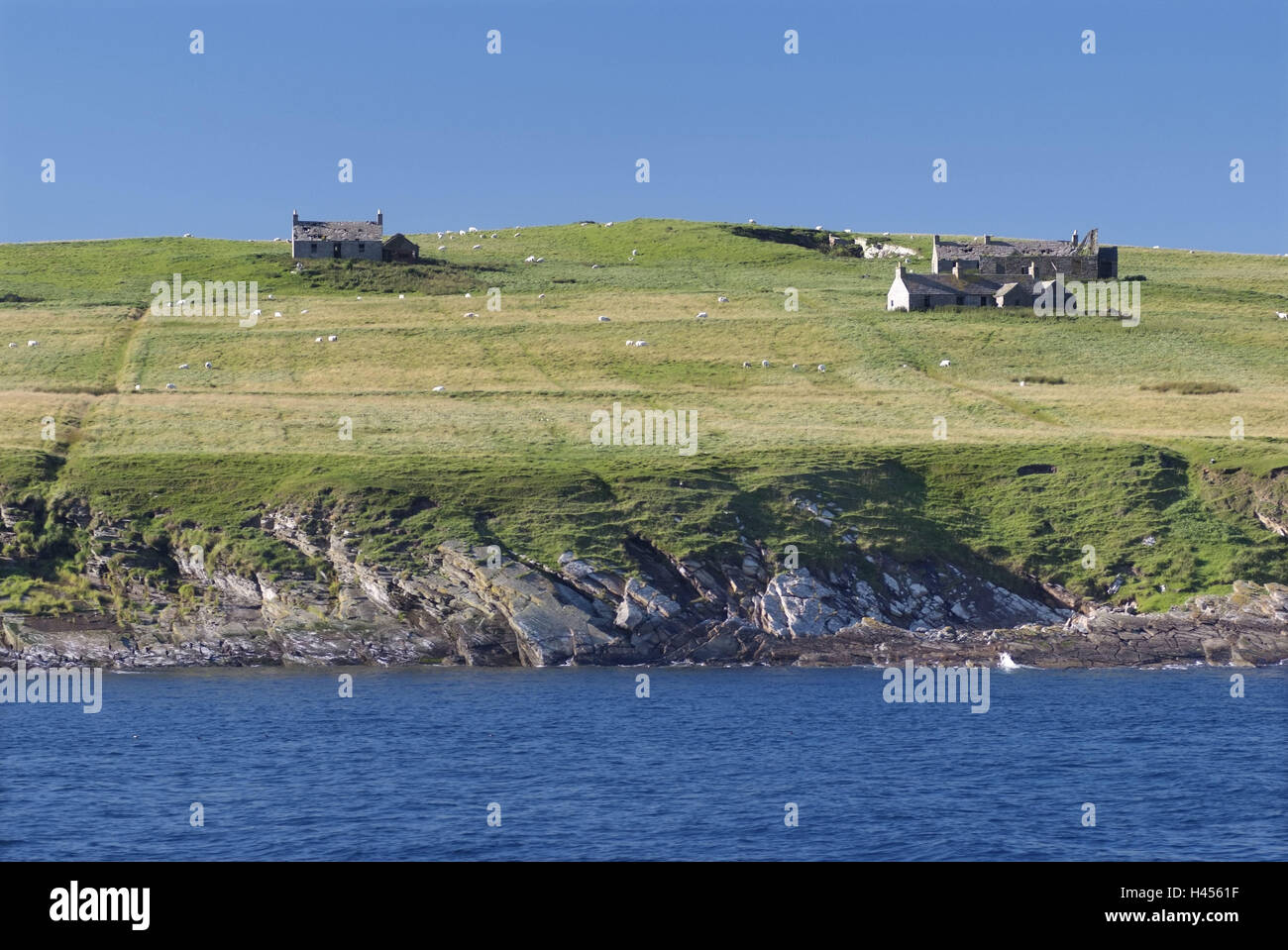 Great Britain, Scotland, Orkney Islands, island South Ronaldsay, landscape, coast, houses, Orkney, coastal landscape, meadows, fields, agriculture, sea, sky, clouds, sunny, residential houses, remote, isolated, Stock Photo