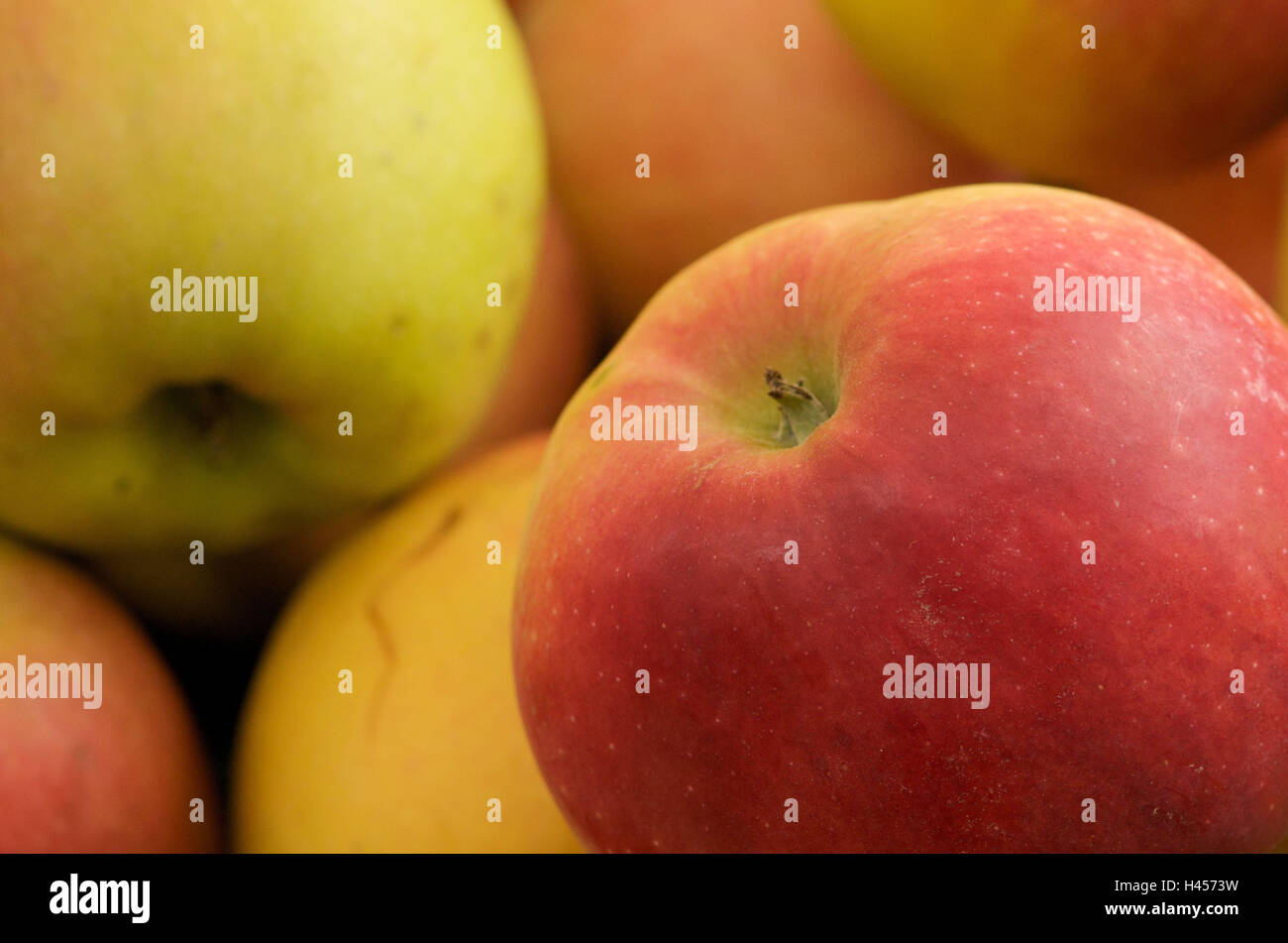 Apples, ripe, fruit, colours, passed away, red, green, yellow, medium close-up, Stock Photo